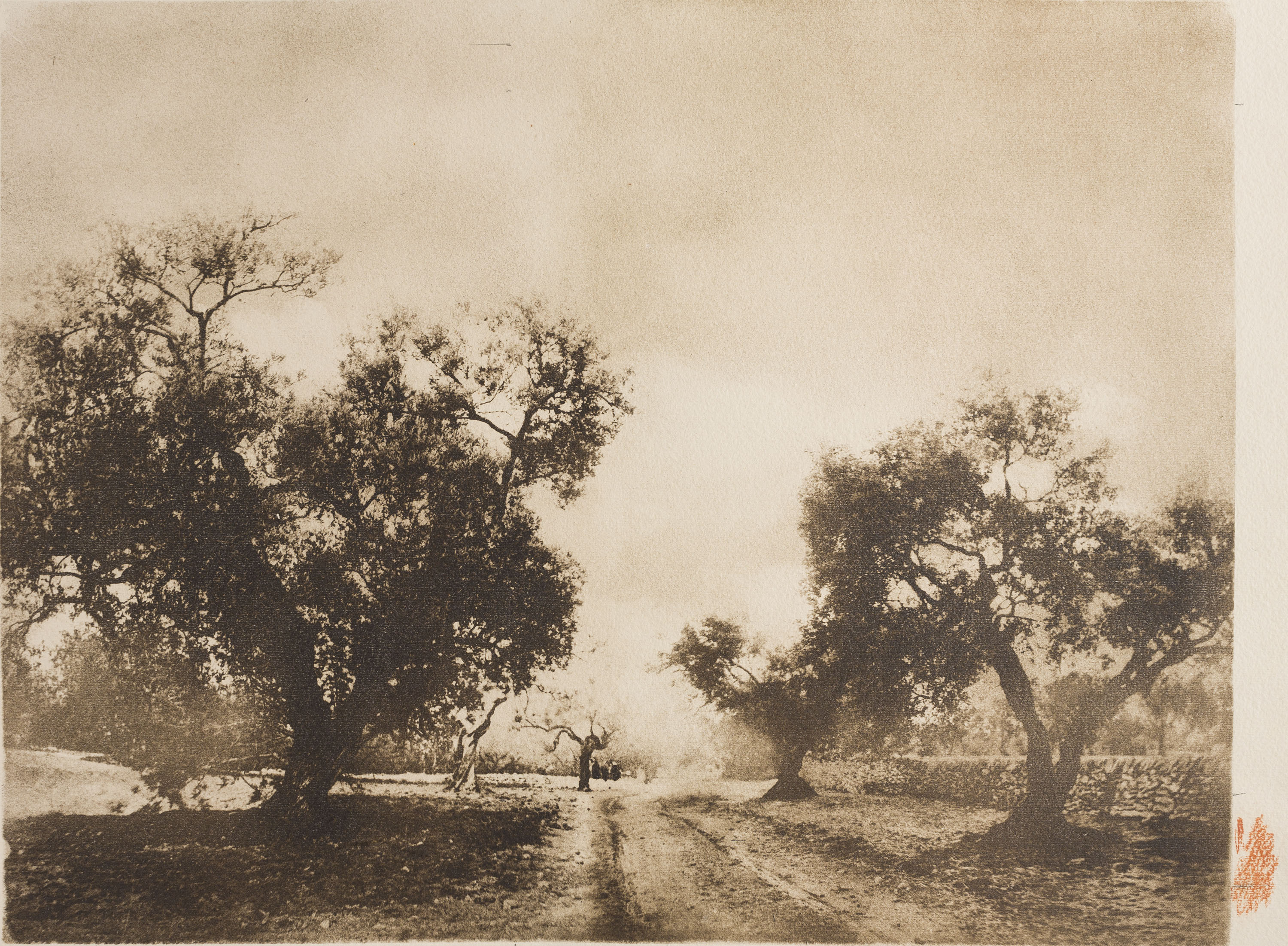 image for: Josep Maria Casals i Ariet - Paisatge - No datat