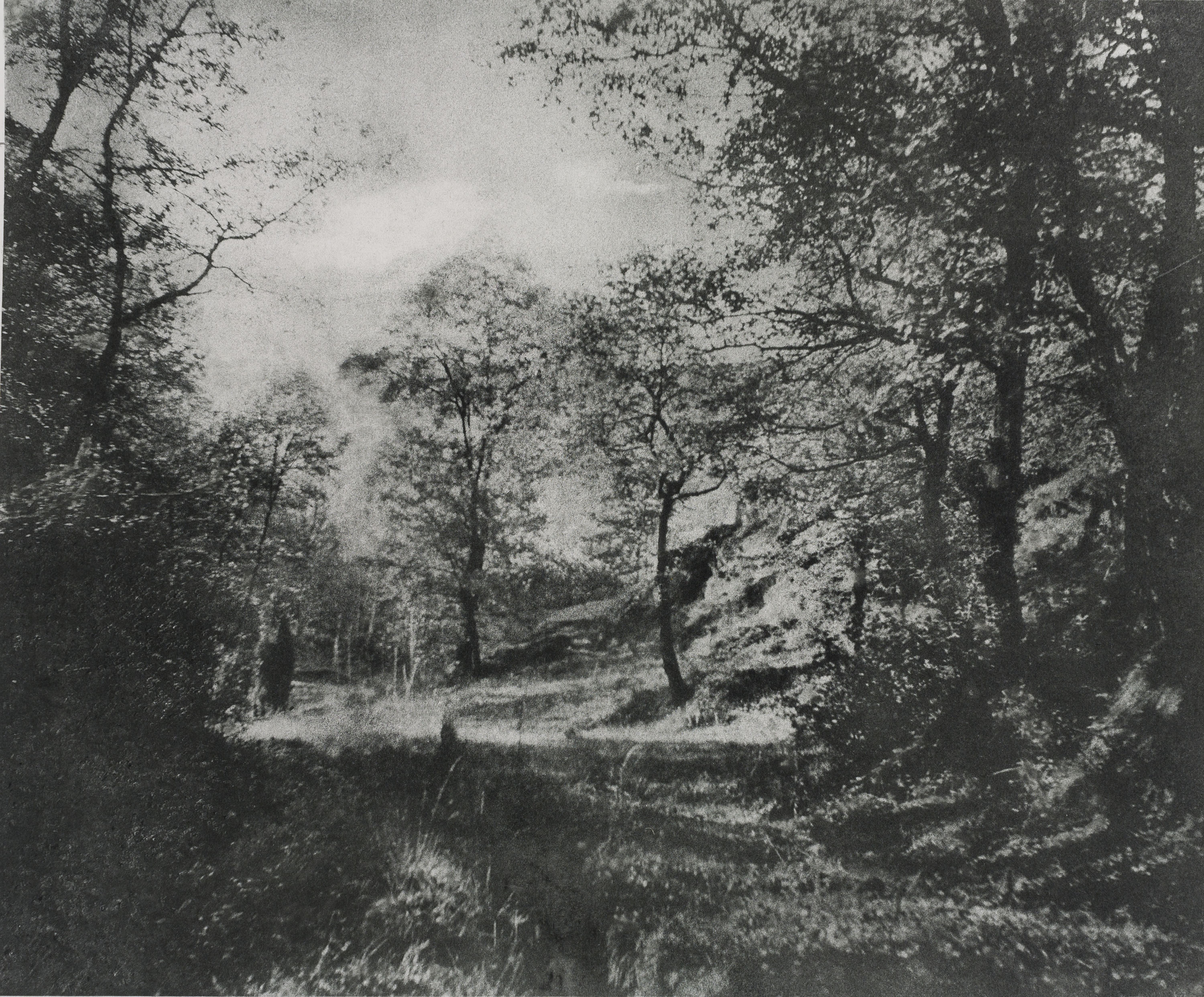 image for: Josep Maria Casals i Ariet - Paisatge - No datat