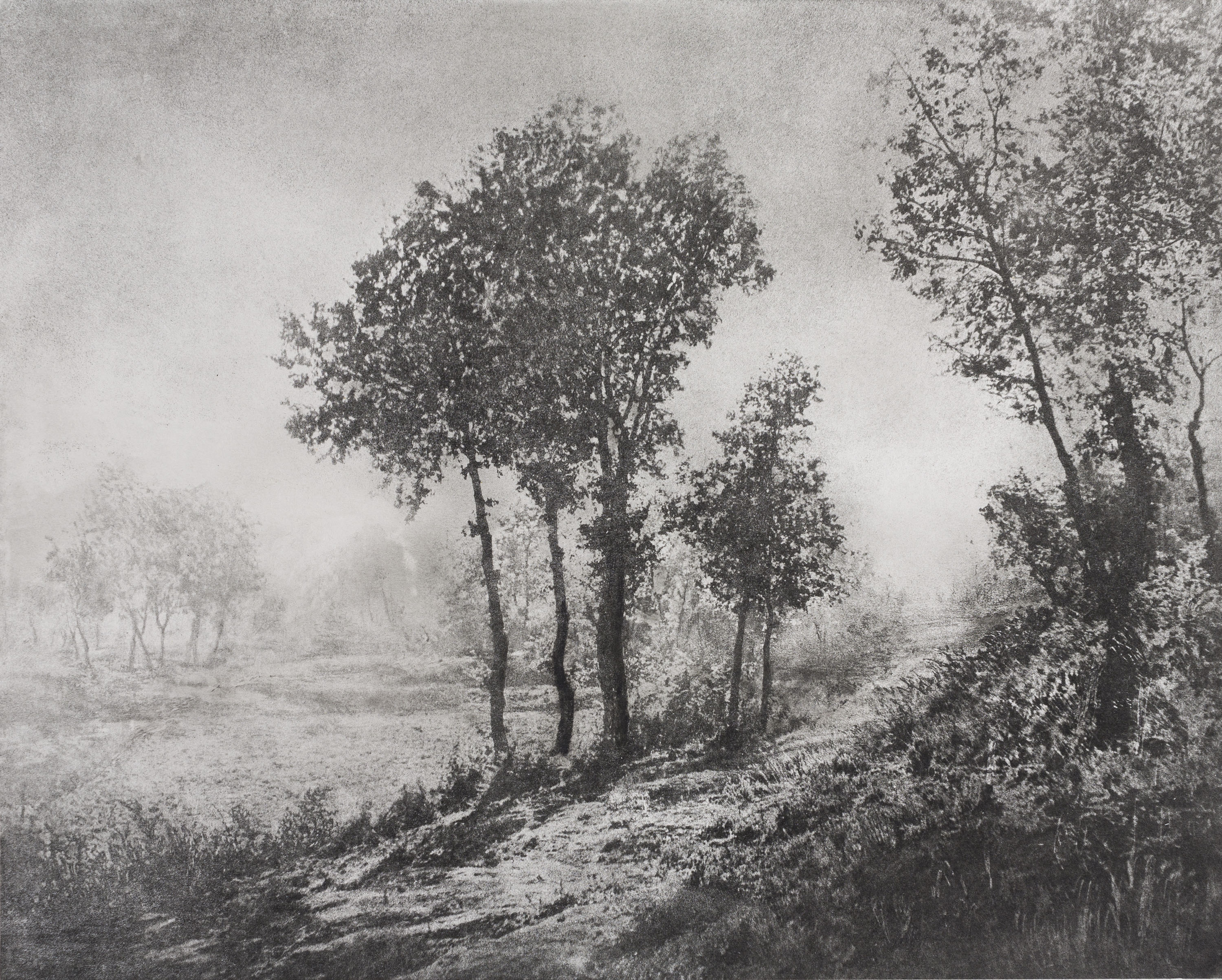 image for: Josep Maria Casals i Ariet - Paisatge - No datat