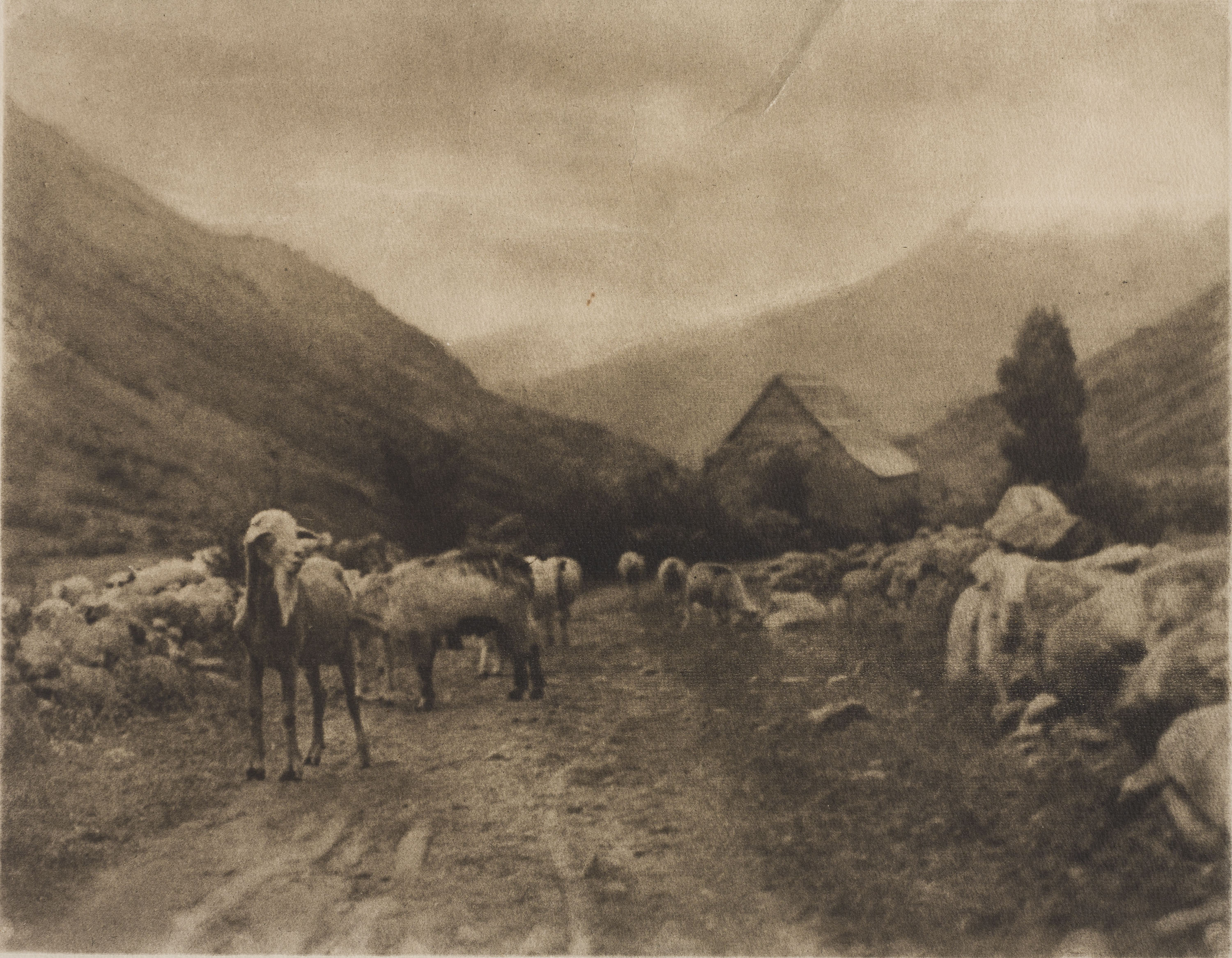 image for: Josep Maria Casals i Ariet - Camí de poble amb ramat - No datat