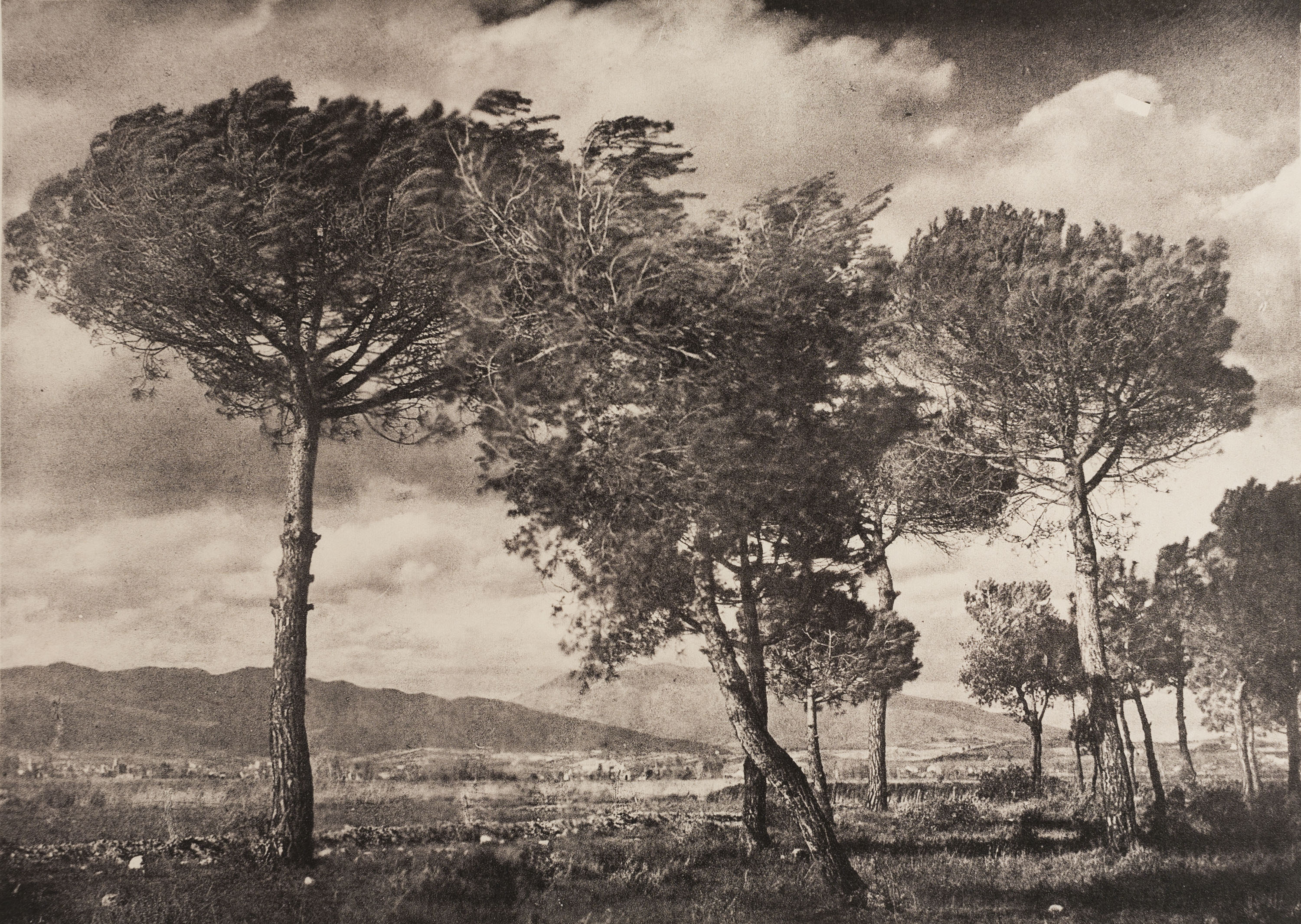 image for: Josep Maria Casals i Ariet - Paisatge - Cap a 1930-1950