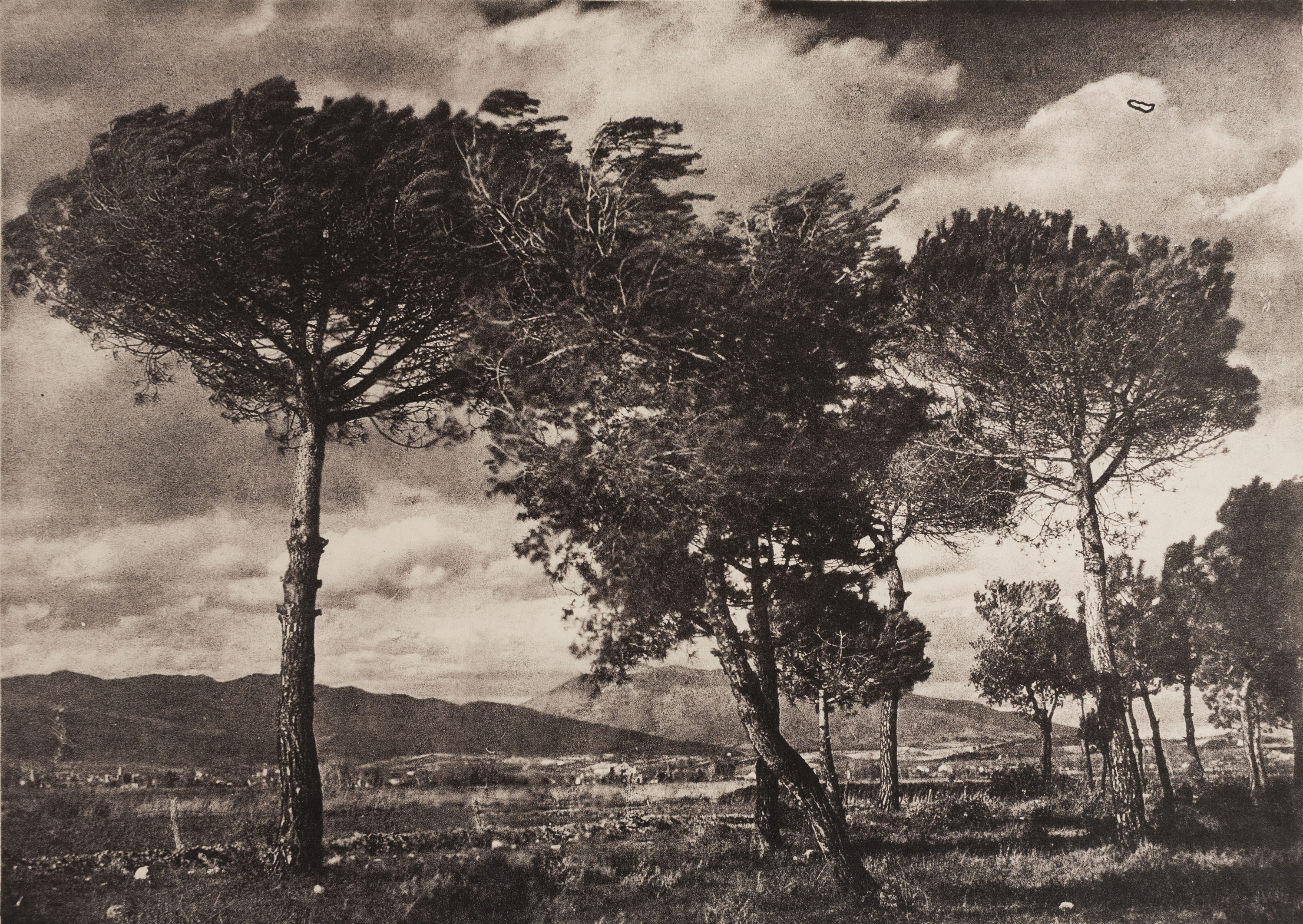 image for: Josep Maria Casals i Ariet - Paisatge - Cap a 1930-1950