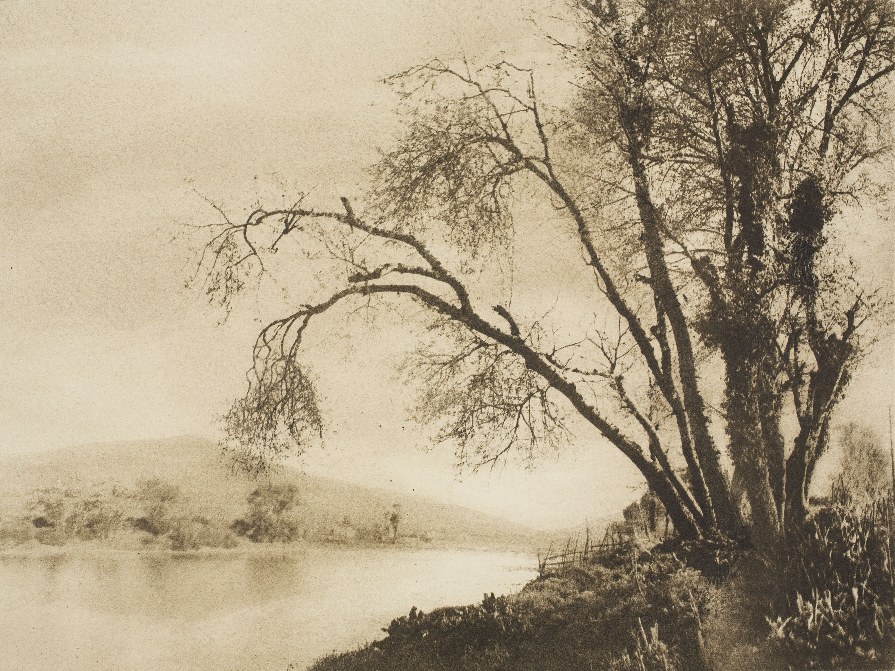 image for: Josep Maria Casals i Ariet - Paisatge - No datat