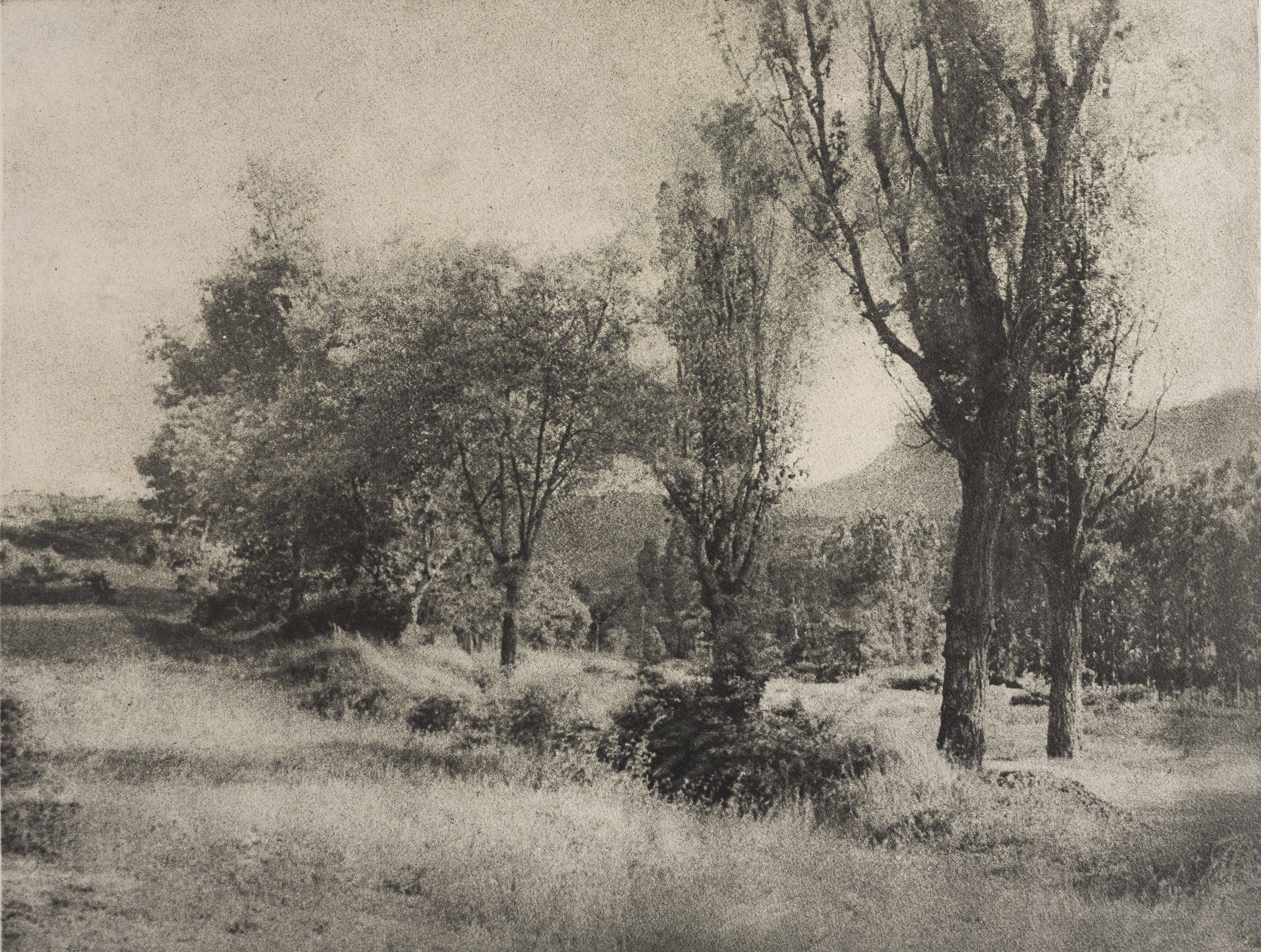 image for: Josep Maria Casals i Ariet - Paisatge - Cap a 1930-1950