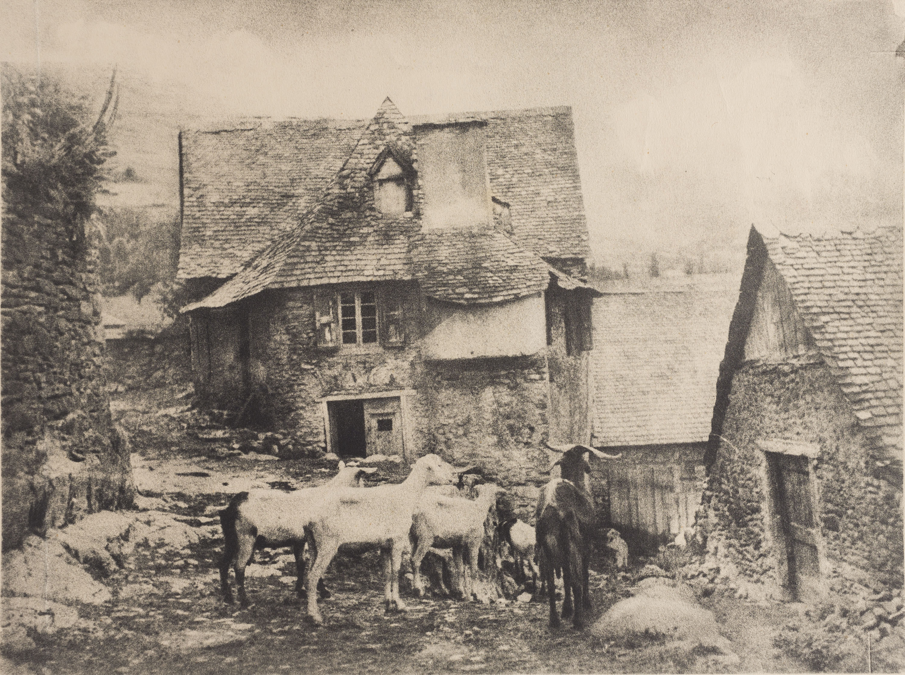 image for: Josep Maria Casals i Ariet - Carrer de poble amb ramat de cabres - Cap a 1930-1950