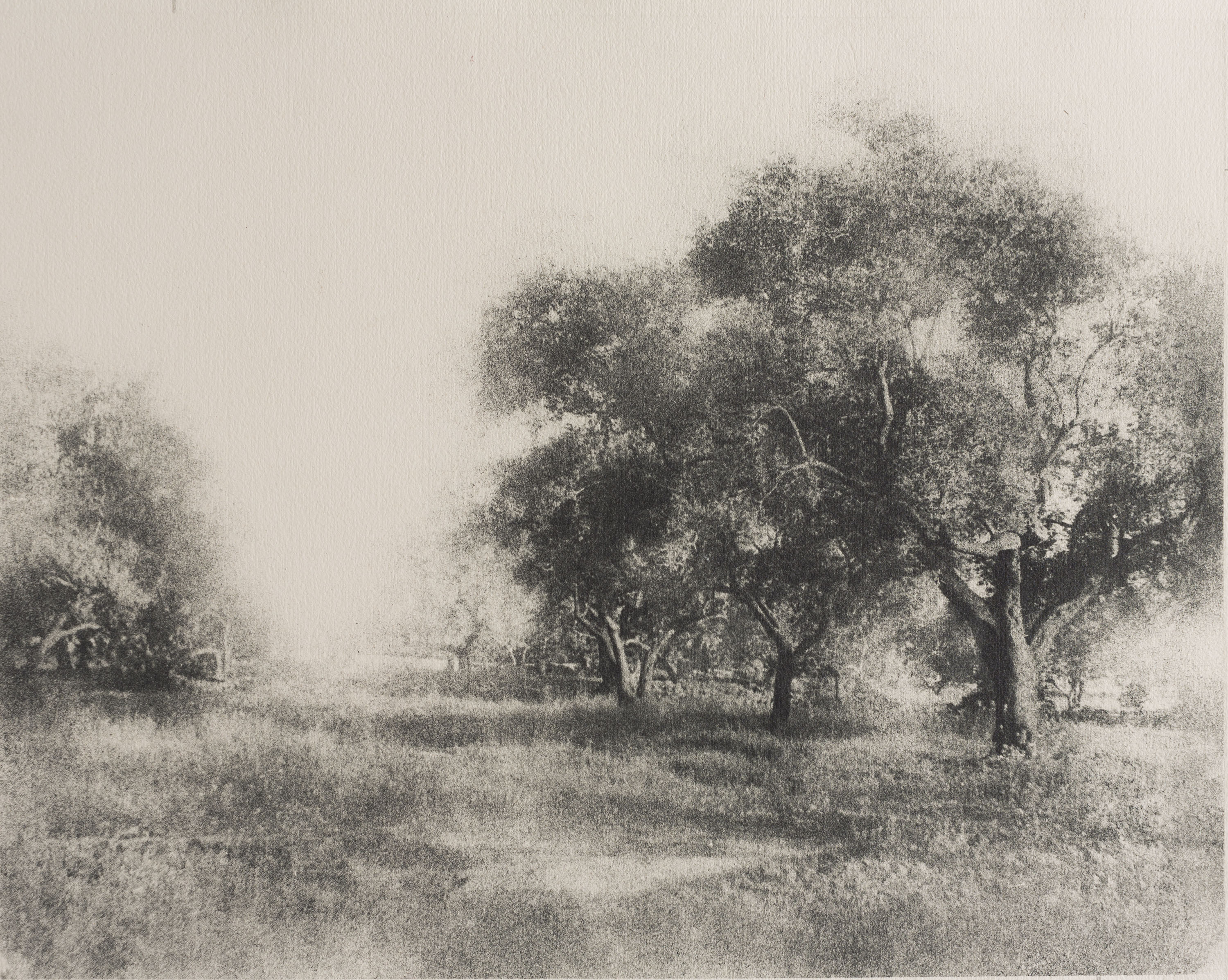 image for: Josep Maria Casals i Ariet - Paisatge - Cap a 1930-1950