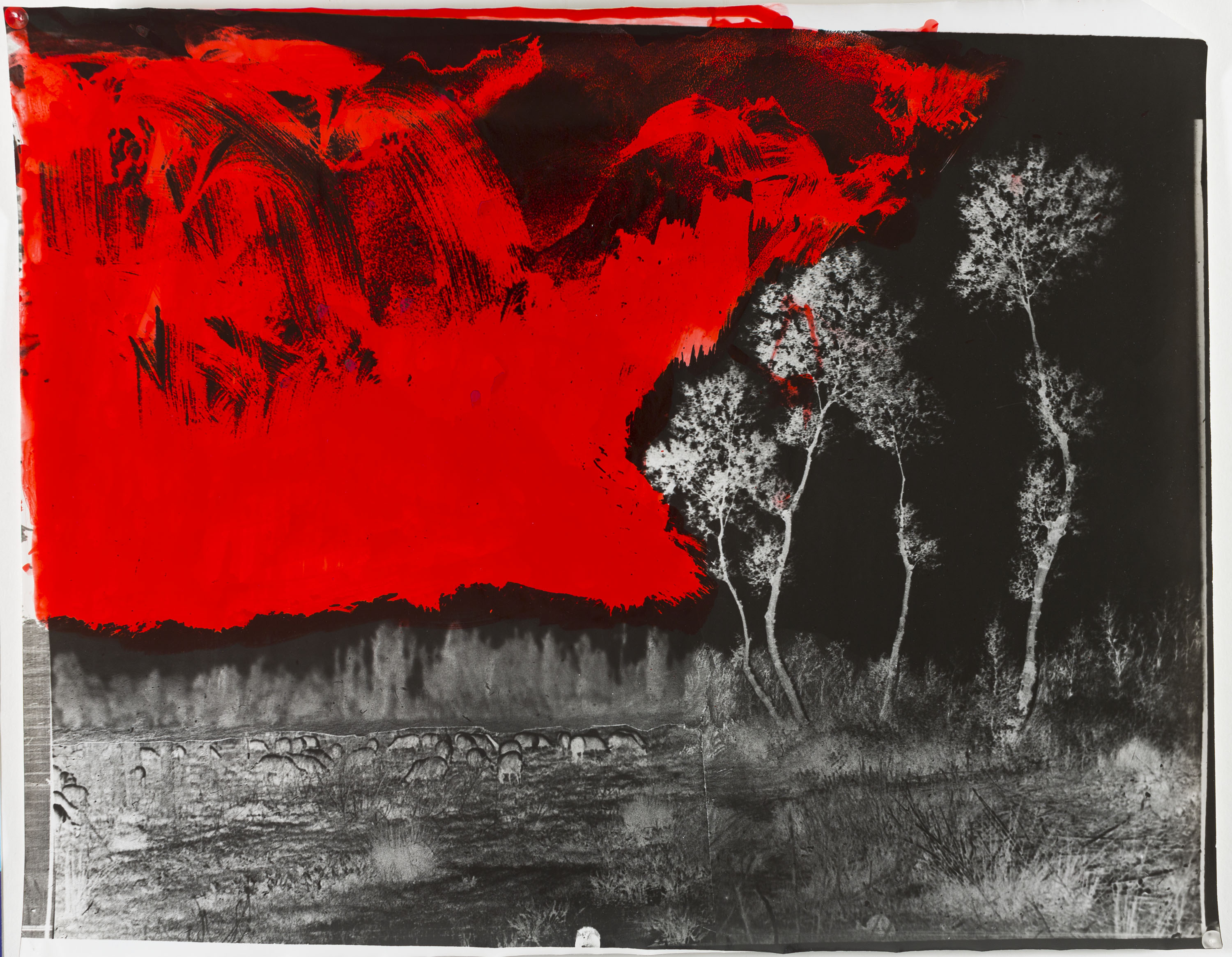 image for: Josep Maria Casals i Ariet - Paisatge - No datat