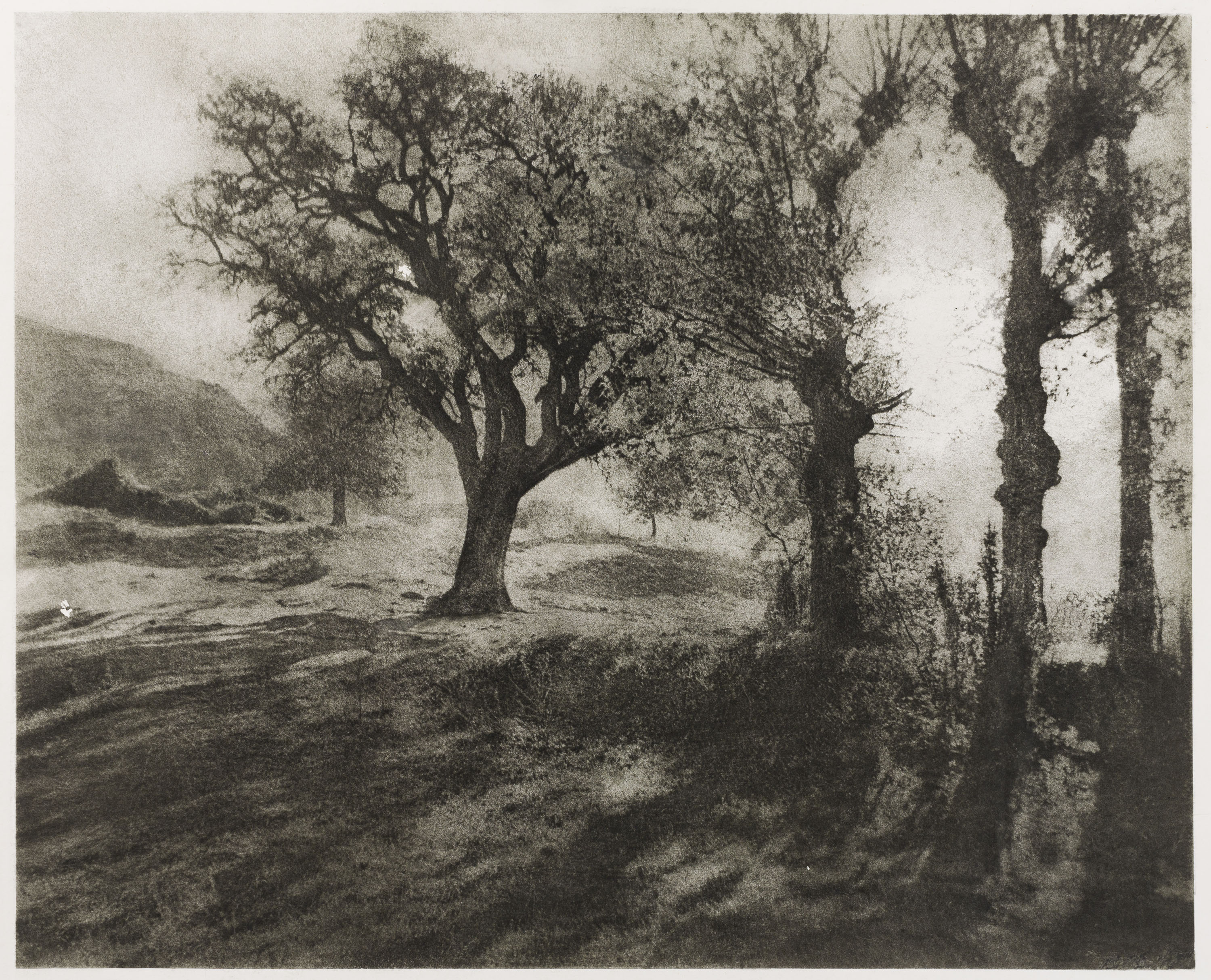 image for: Josep Maria Casals i Ariet - Paisatge - No datat