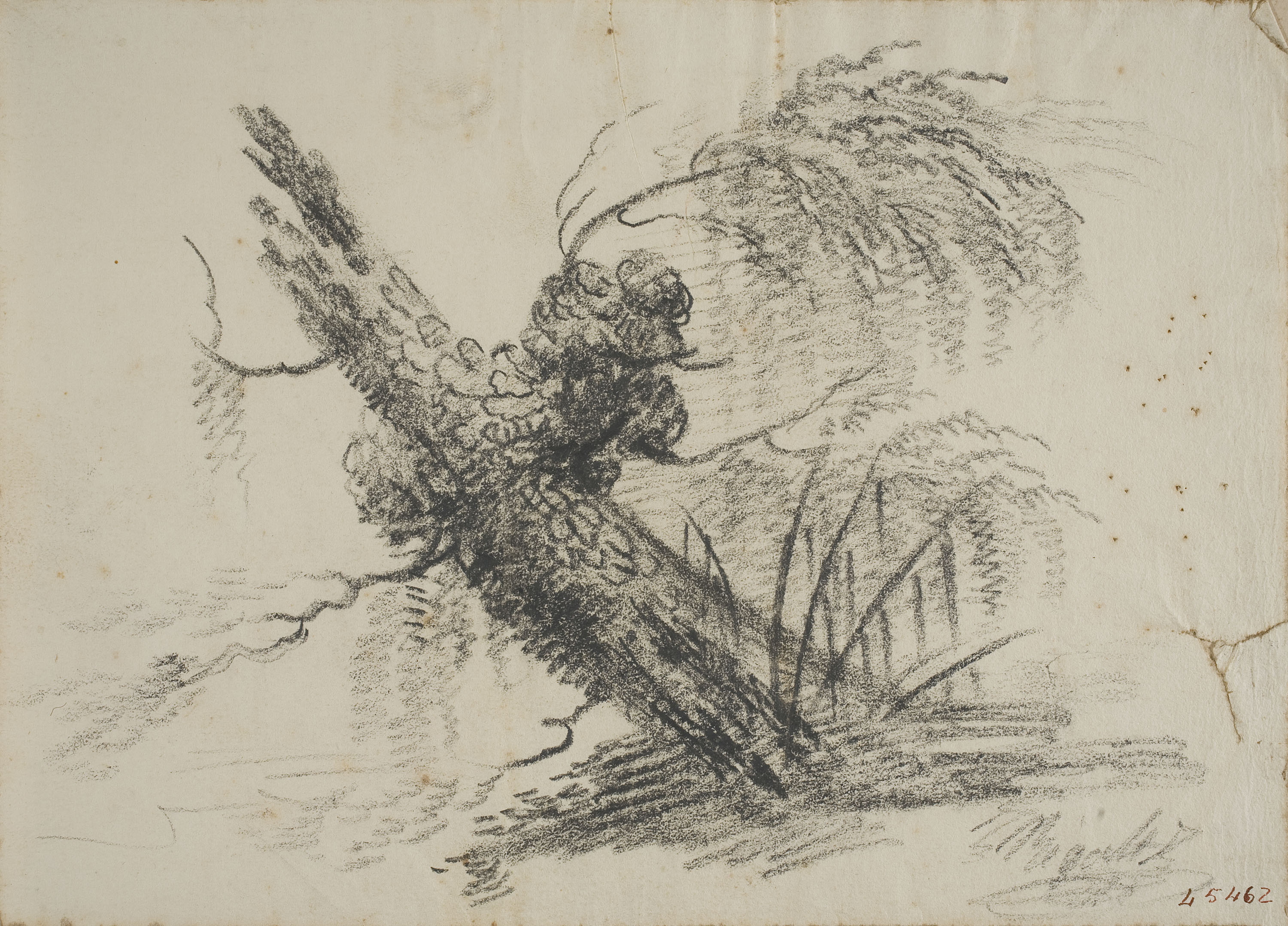 image for: Lluís Rigalt - Estudi d&#039;arbre - Cap a 1840-1850