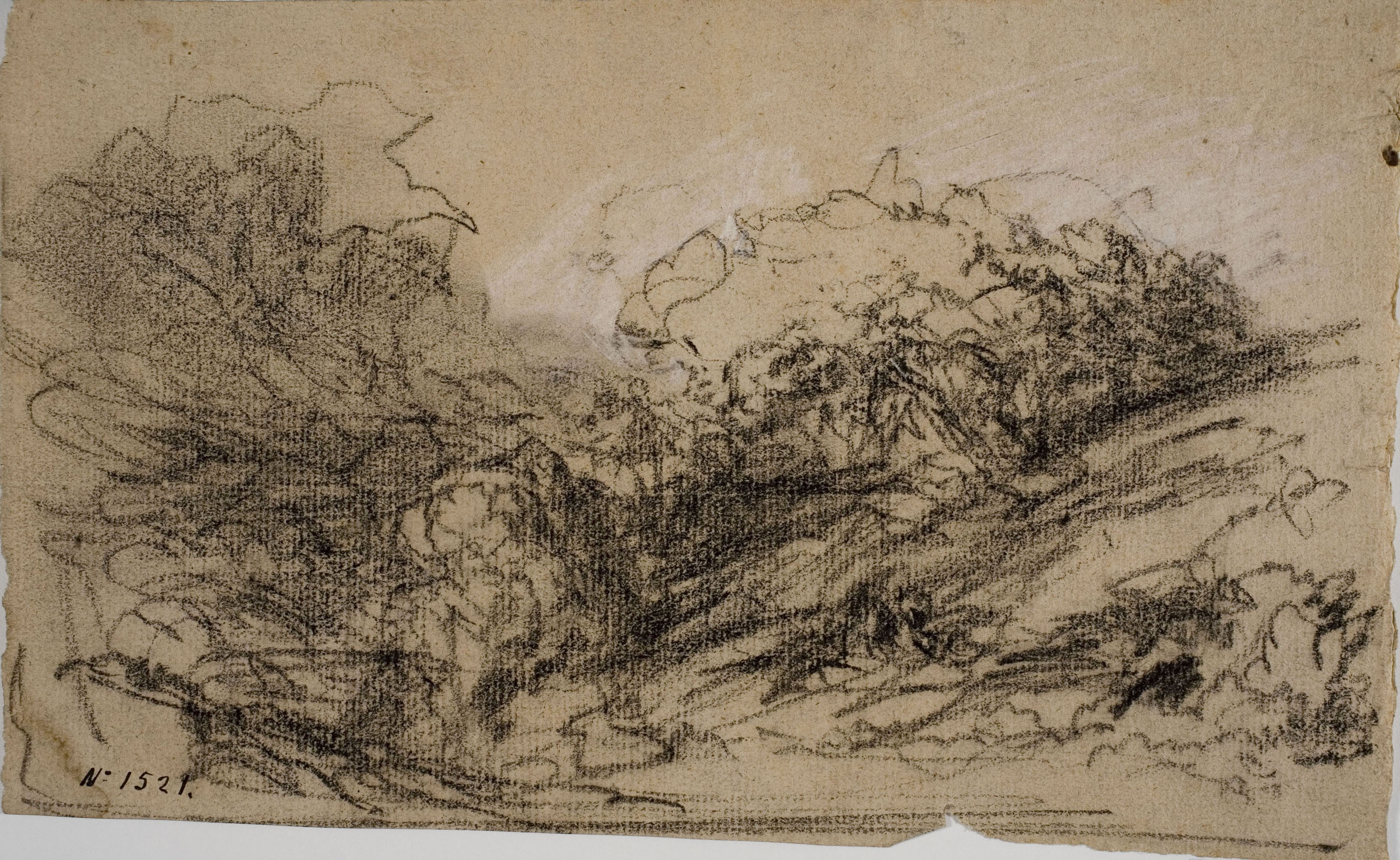 image for: Ramon Martí i Alsina - Arbreda - Cap a 1880