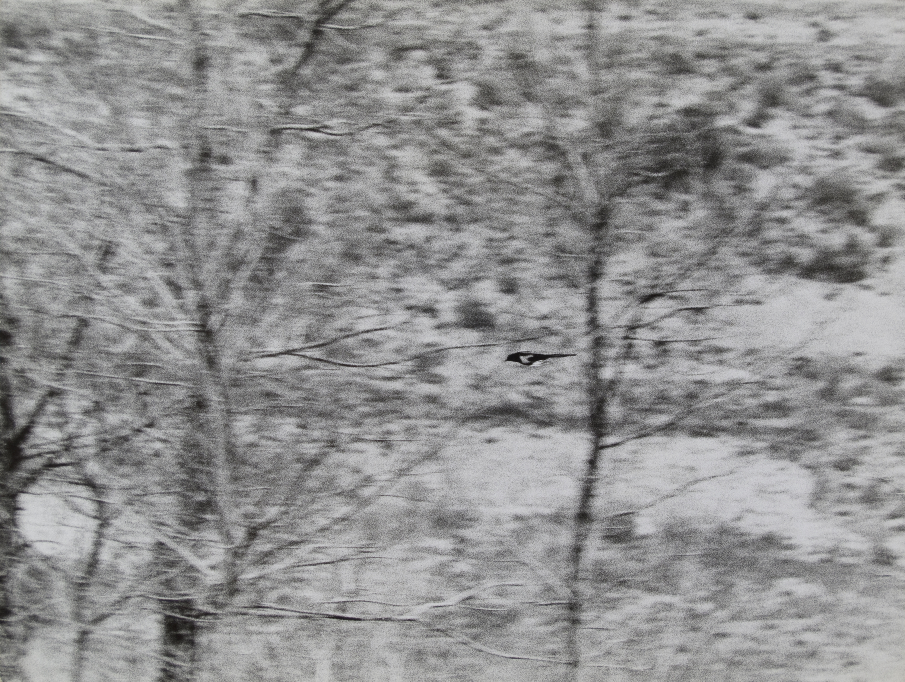 image for: Oriol Maspons - Fotografia per al llibre «La caza de la perdiz roja», de Miguel Delibes - 1962