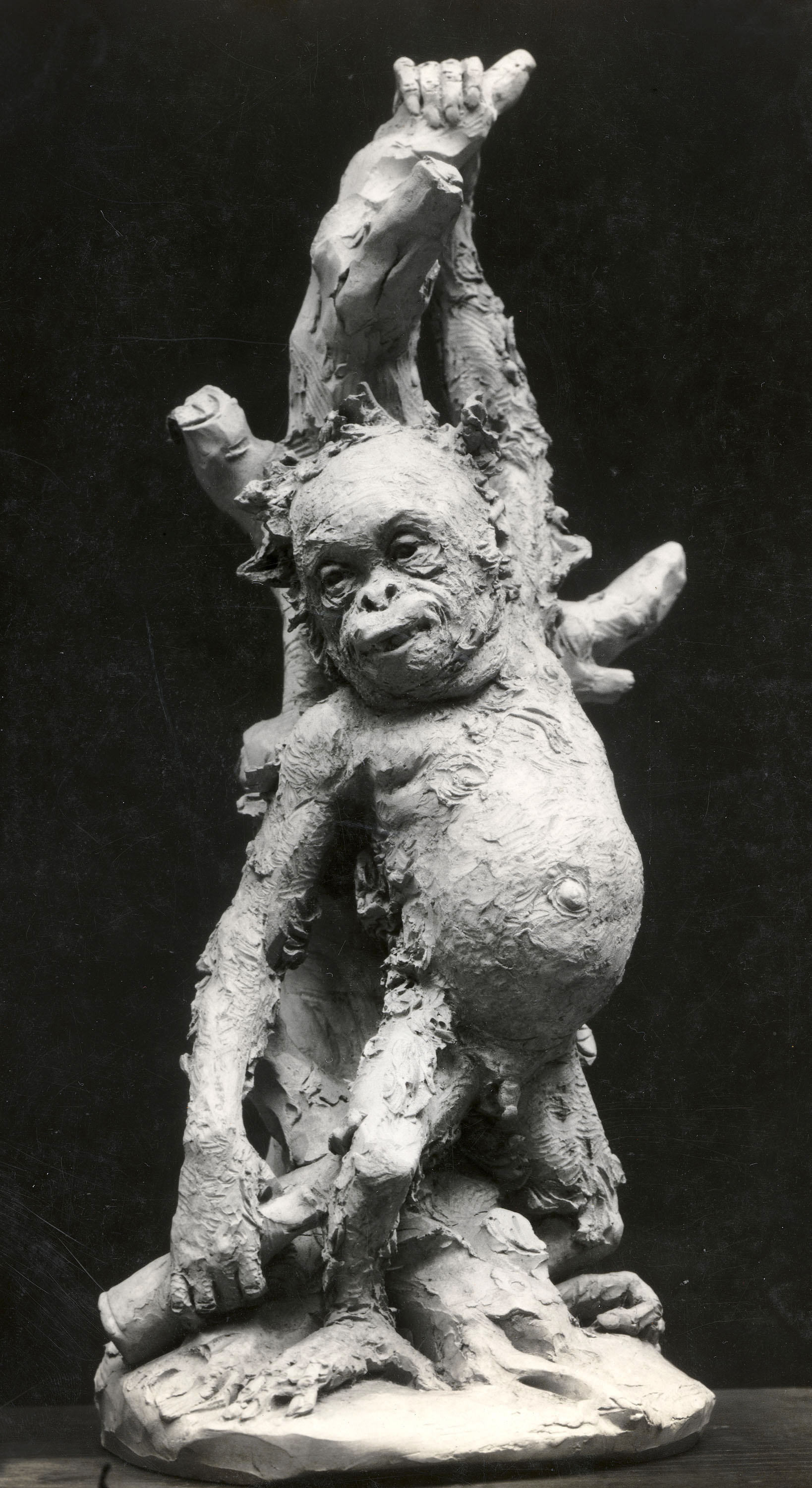 image for: Agapit Vallmitjana Barbany - Cadell d&#039;orangutan - Cap a 1880