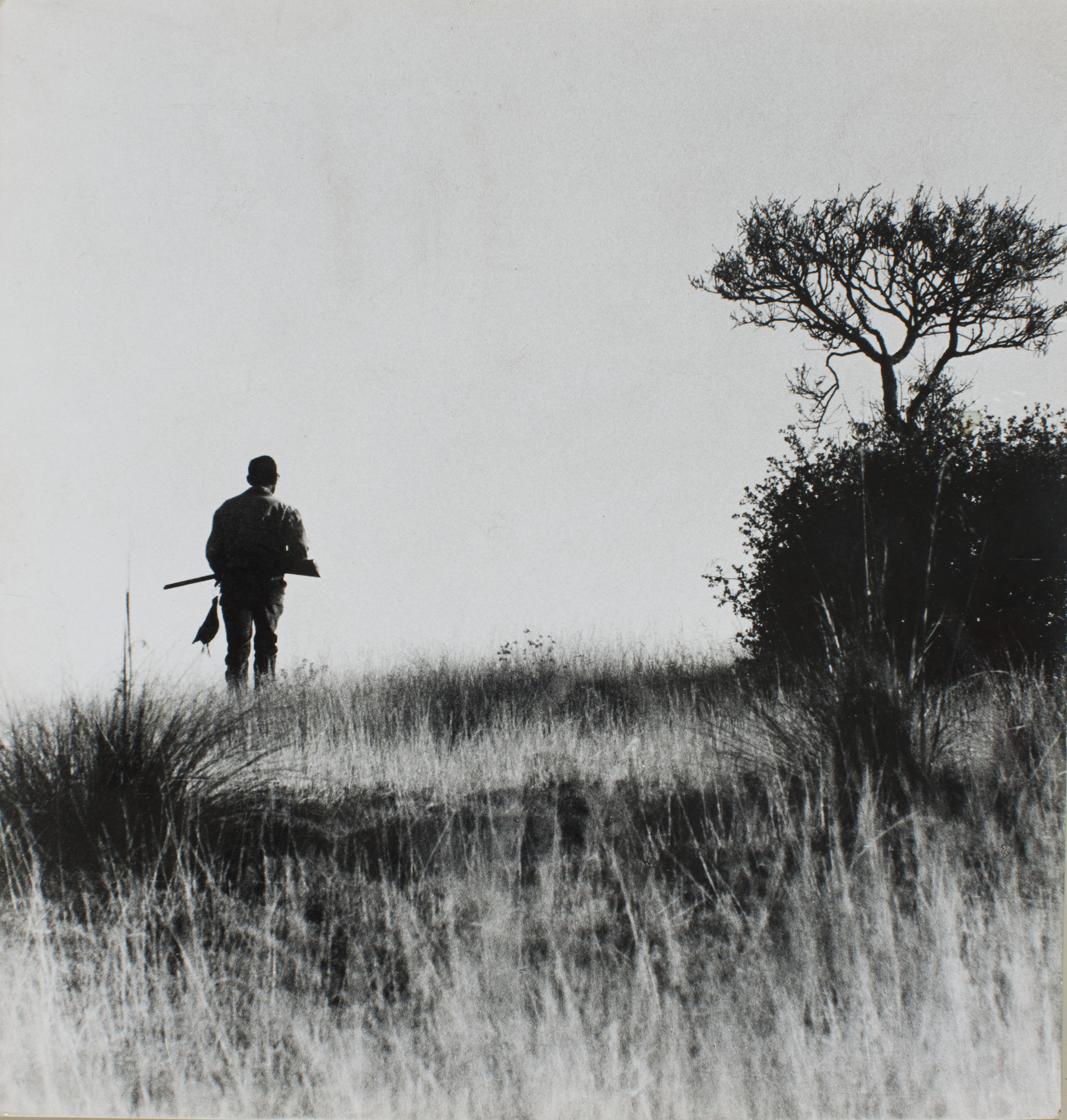 image for: Oriol Maspons - Fotografia per al llibre «La caza de la perdiz roja», de Miguel Delibes - 1962