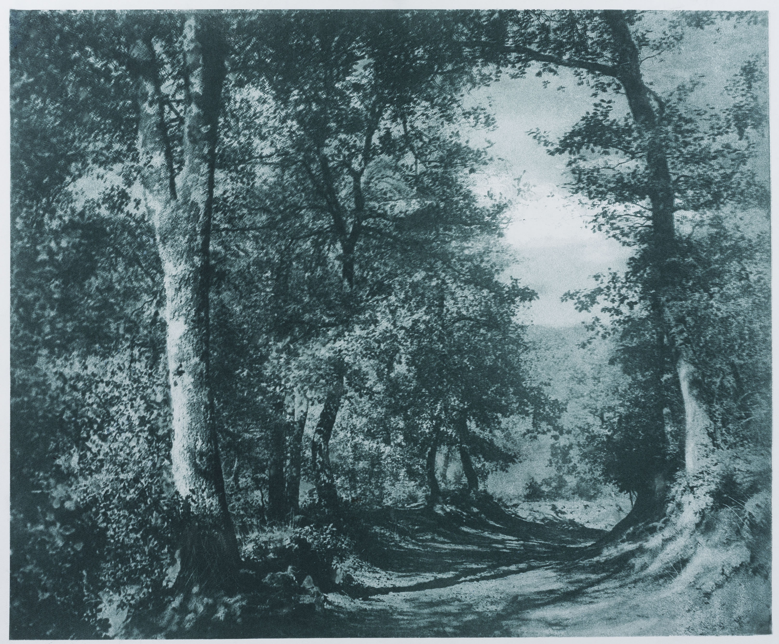 image for: Josep Maria Casals i Ariet - Paisatge - No datat