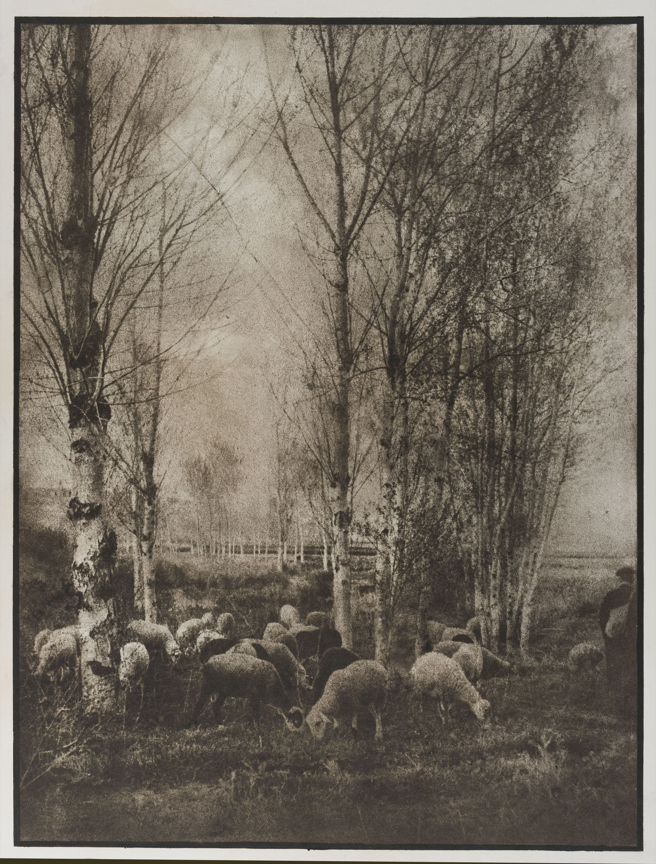 image for: Josep Maria Casals i Ariet - Paisatge amb pastor i ramat de bens - No datat