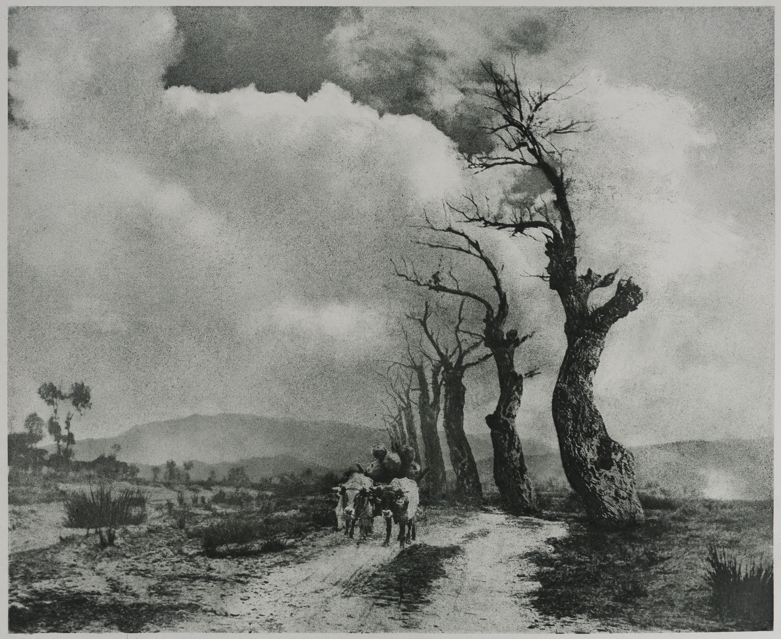 image for: Josep Maria Casals i Ariet - Paisatge - No datat