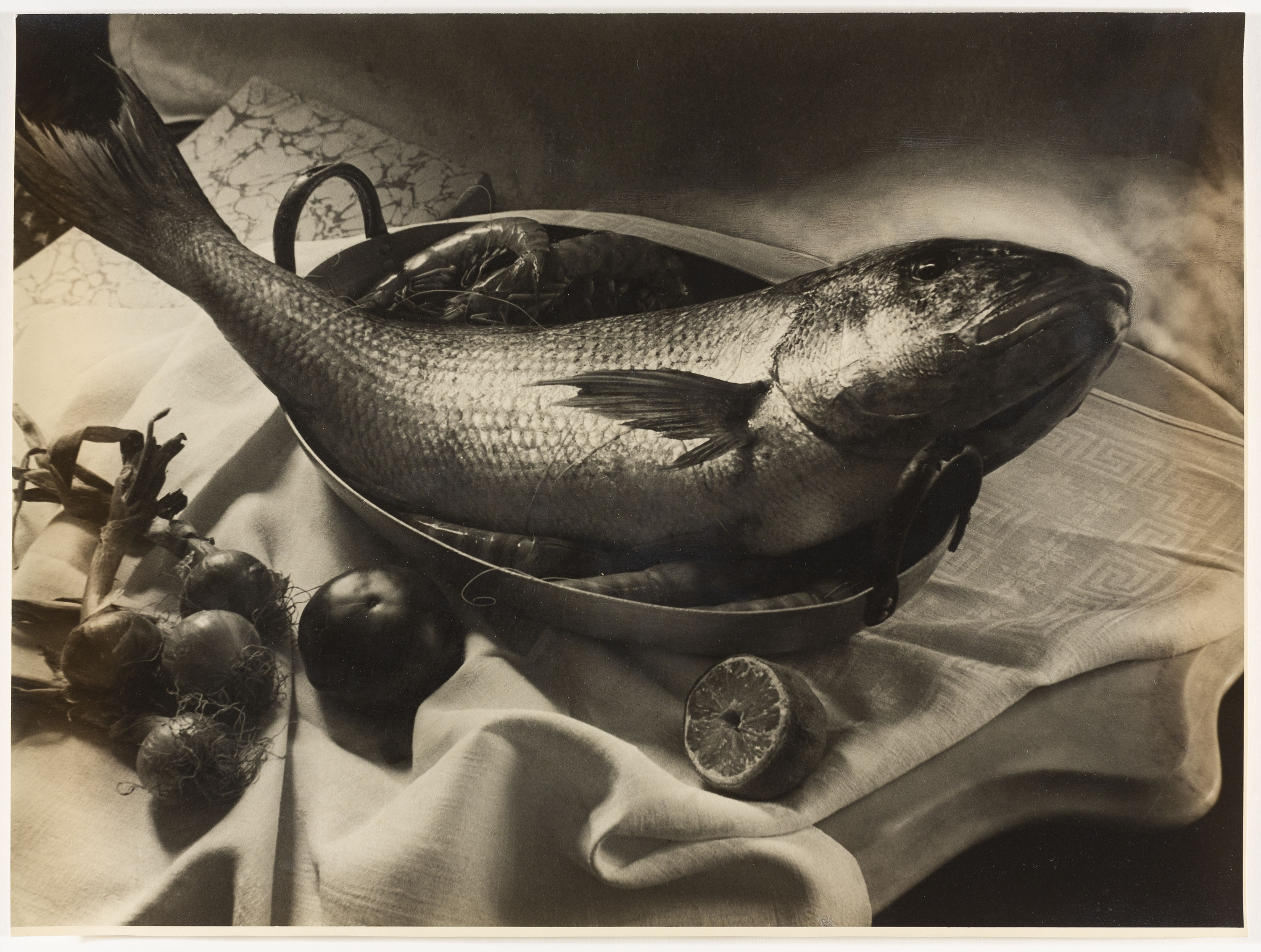image for: Otho Lloyd - Natura morta - Cap a 1944-1950