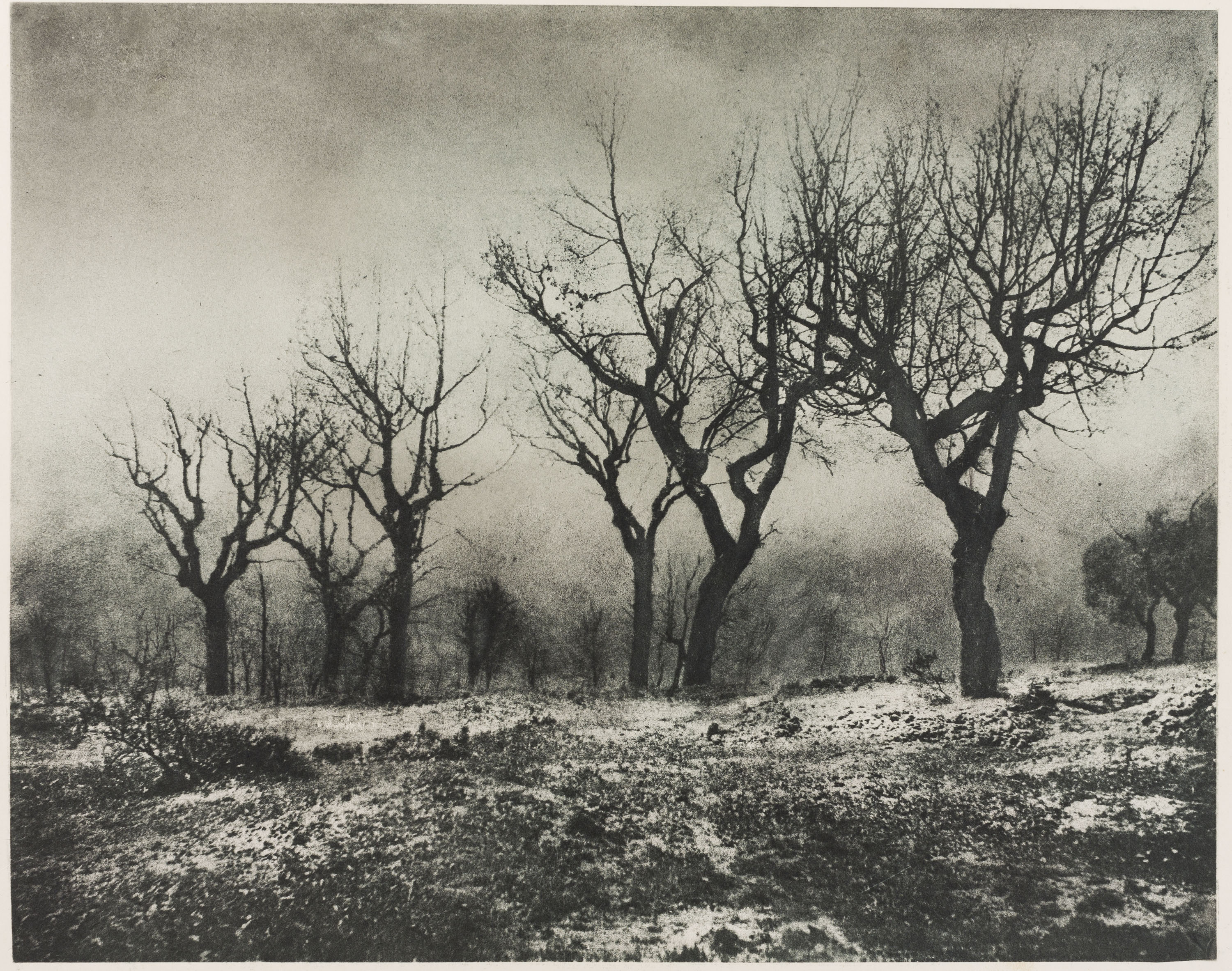 image for: Josep Maria Casals i Ariet - Paisatge - No datat