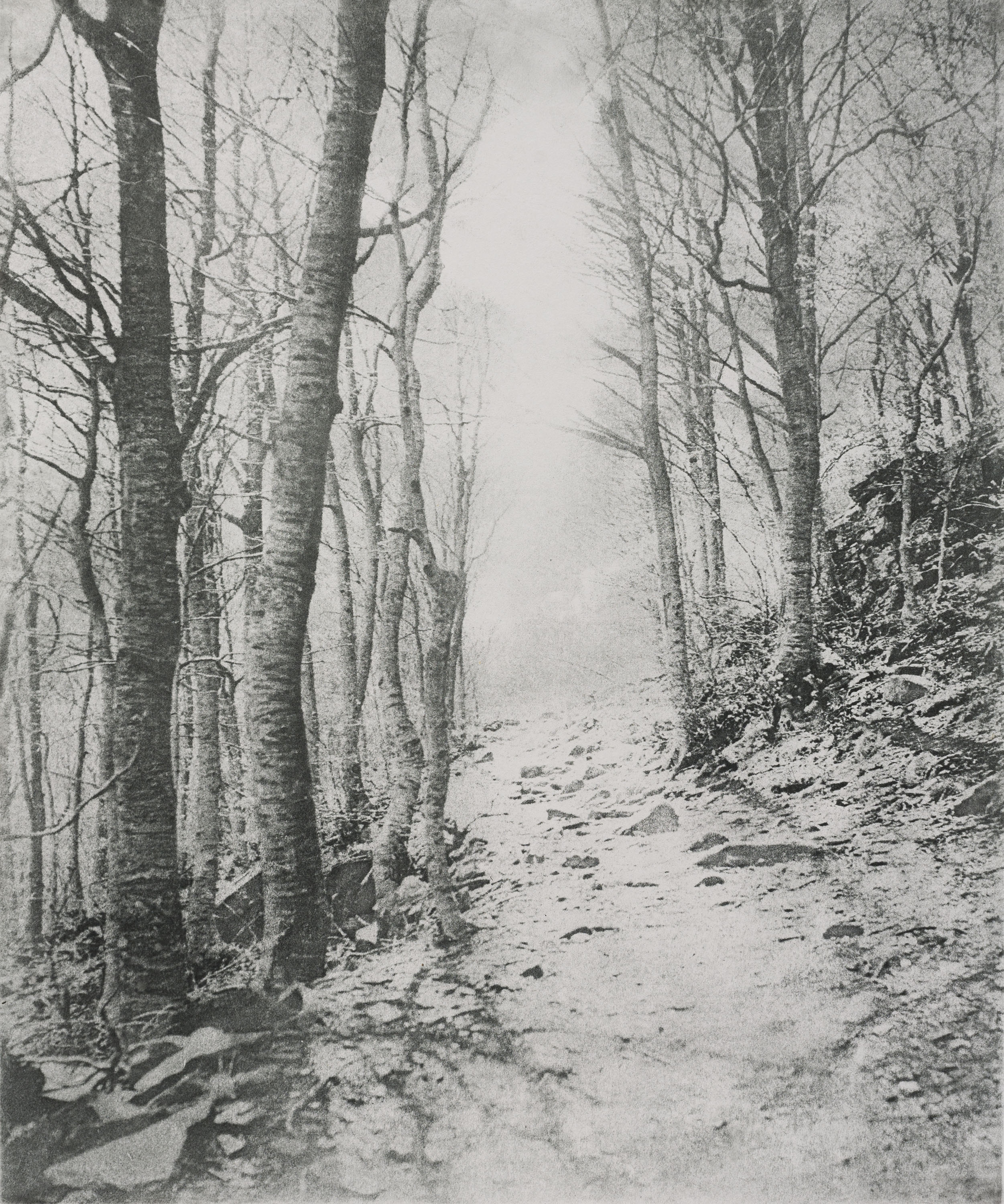 image for: Josep Maria Casals i Ariet - Santa Fe del Montseny - Cap a 1955