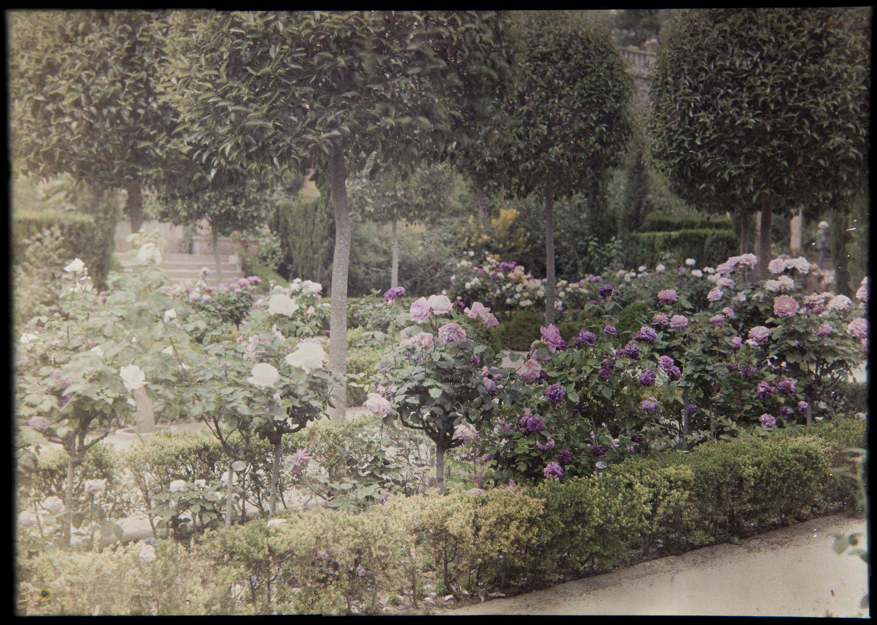 image for: Francesc Carrera Bou - Jardí - Cap a 1926