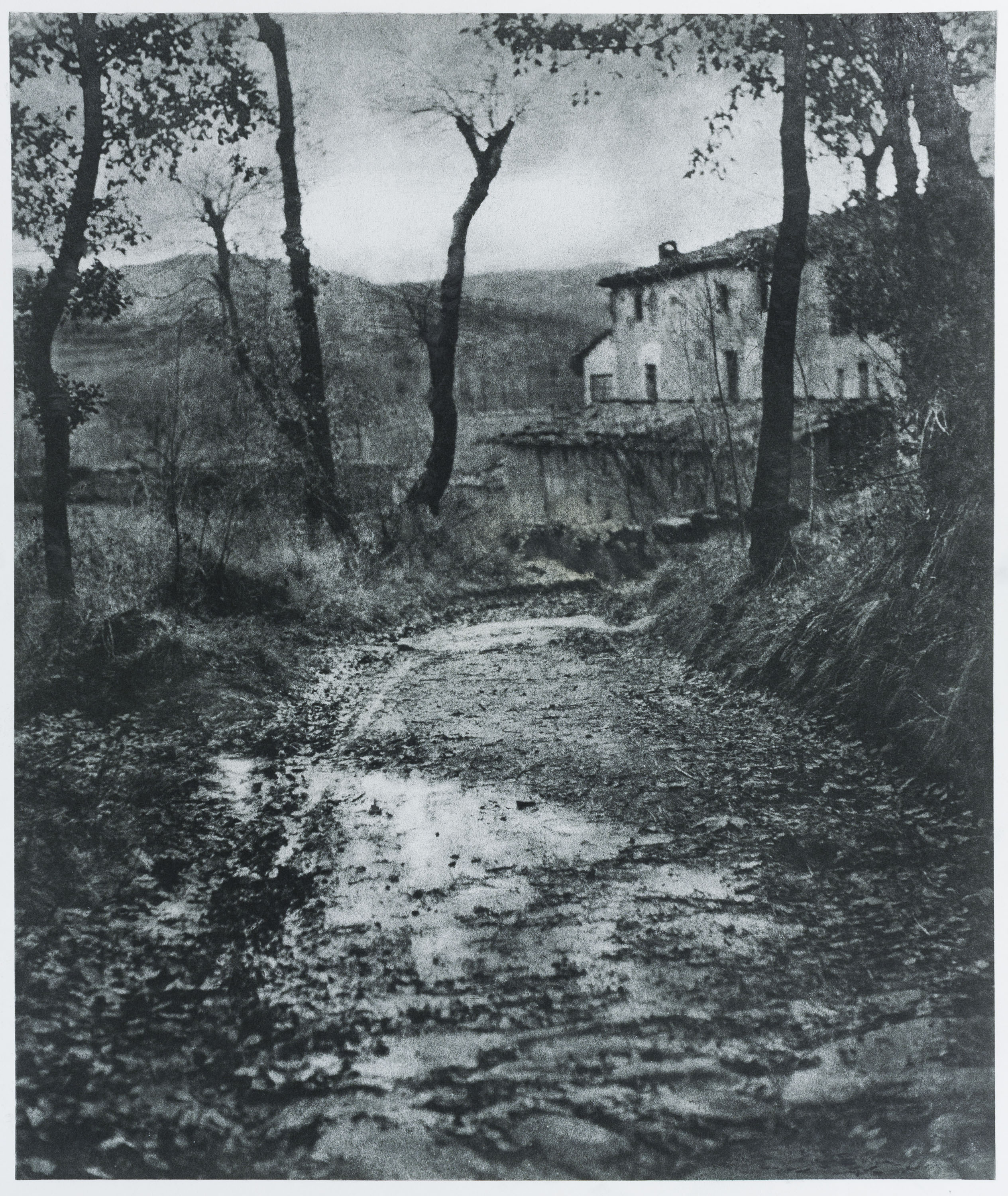 image for: Josep Maria Casals i Ariet - Paisatge - No datat