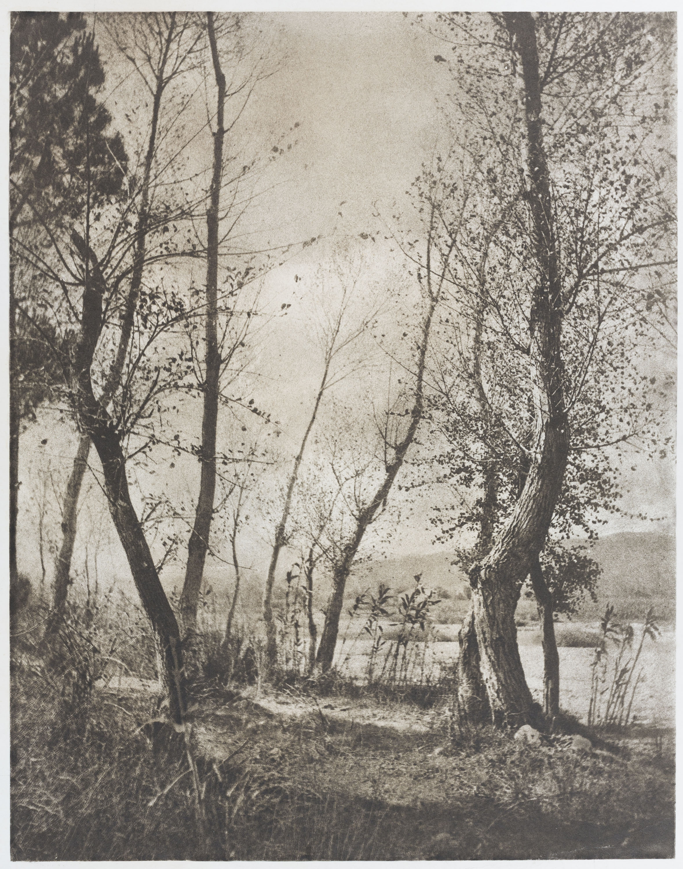 image for: Josep Maria Casals i Ariet - Paisatge - No datat