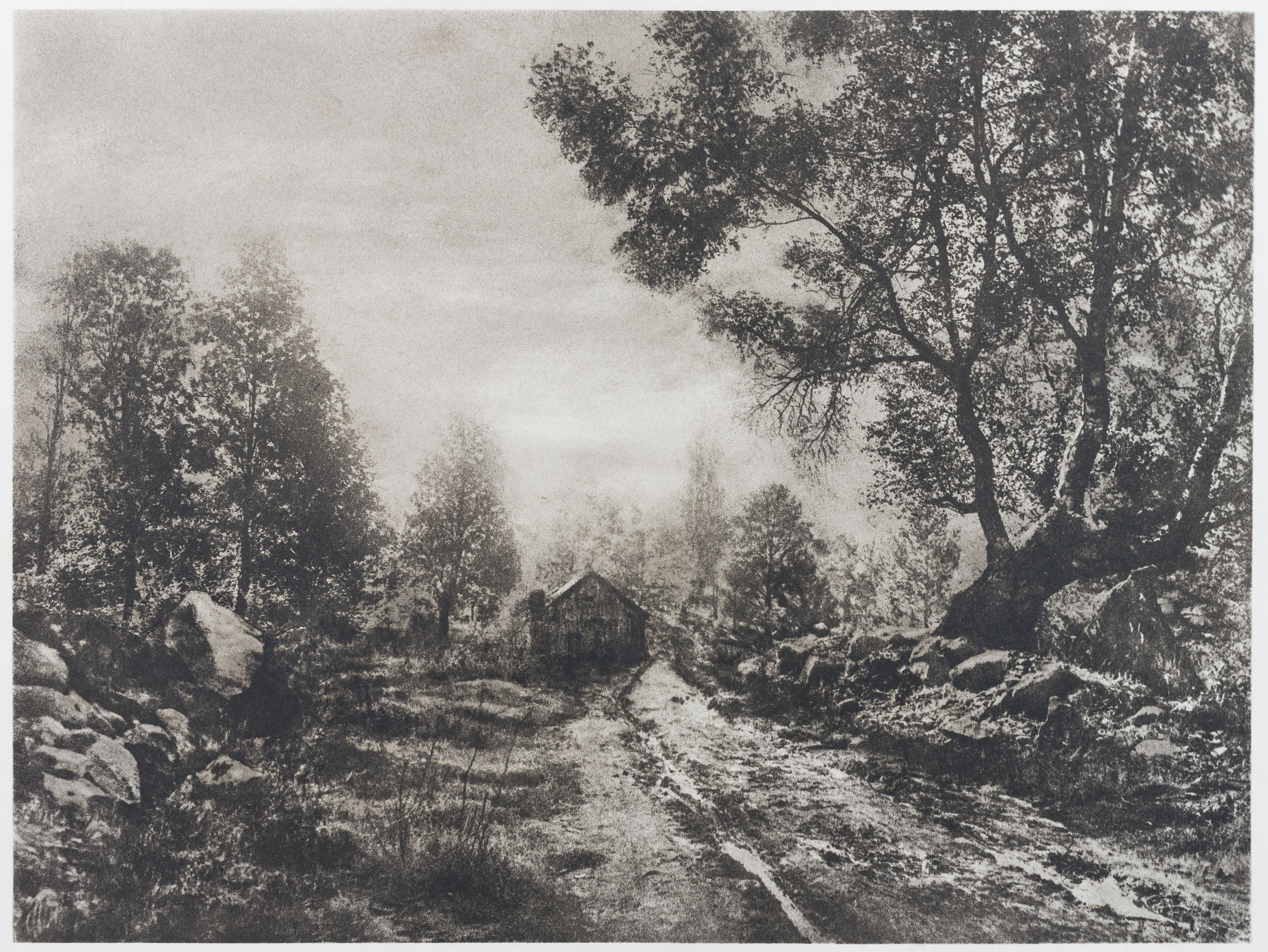 image for: Josep Maria Casals i Ariet - Paisatge - No datat