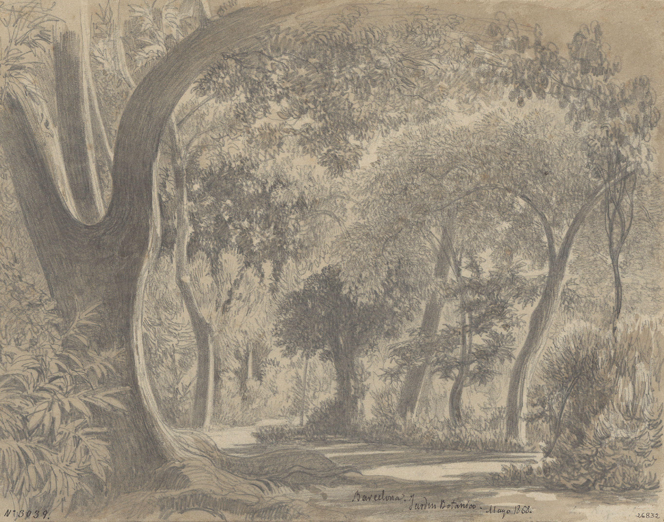 image for: Lluís Rigalt - Barcelona. Jardí Botànic - Maig de 1868