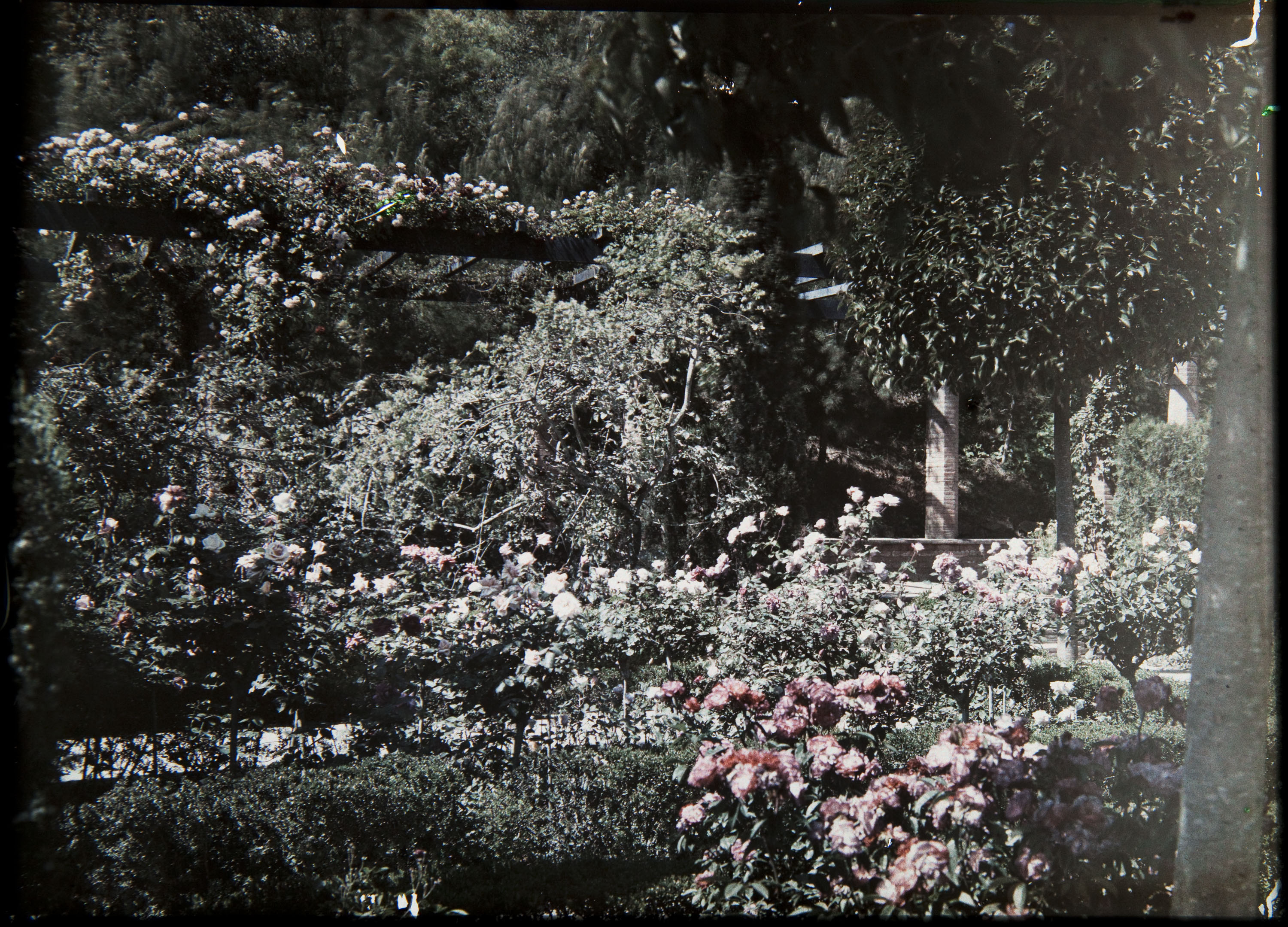 image for: Francesc Carrera Bou - Jardí - Cap a 1926