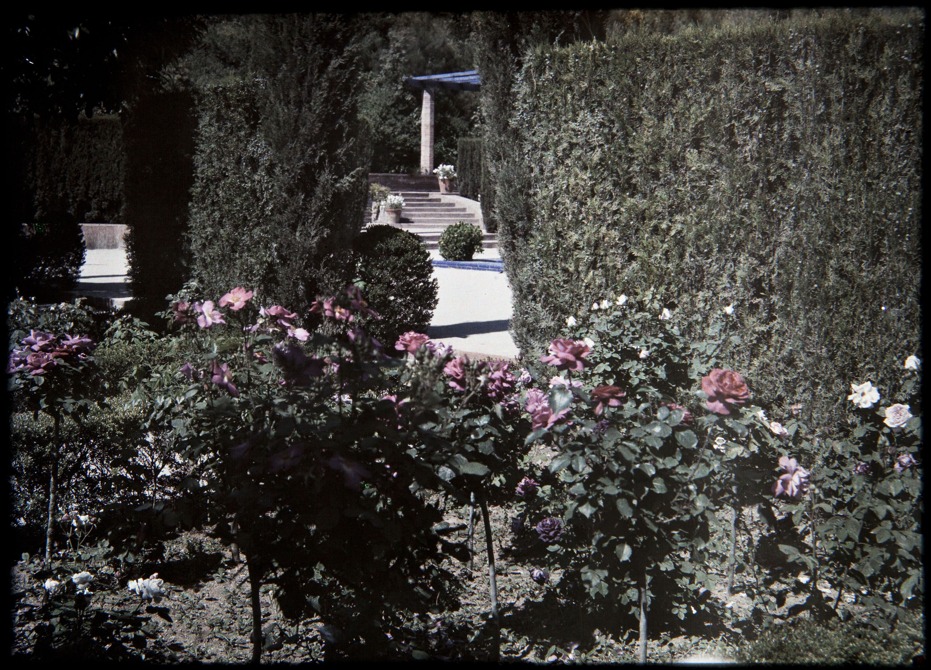 image for: Francesc Carrera Bou - Jardí del pavelló Benavent a Montjuïc (Barcelona) - Cap a 1926