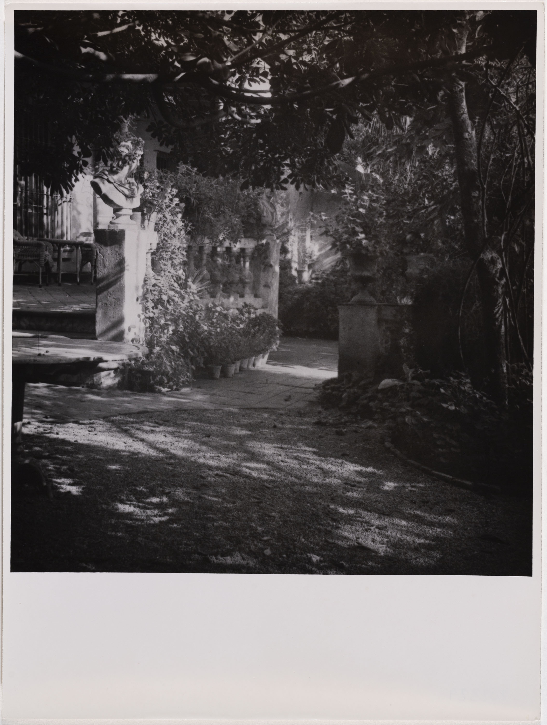 image for: Otho Lloyd - Jardí de la casa del Putxet (Barcelona) - Cap a 1945-1948