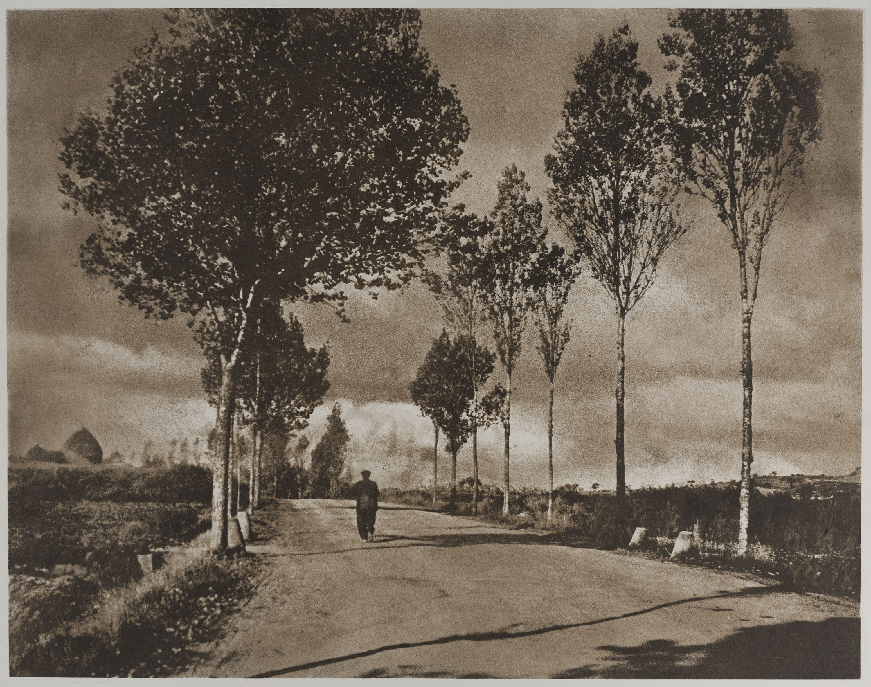 image for: Josep Maria Casals i Ariet - Camí de poble - No datat