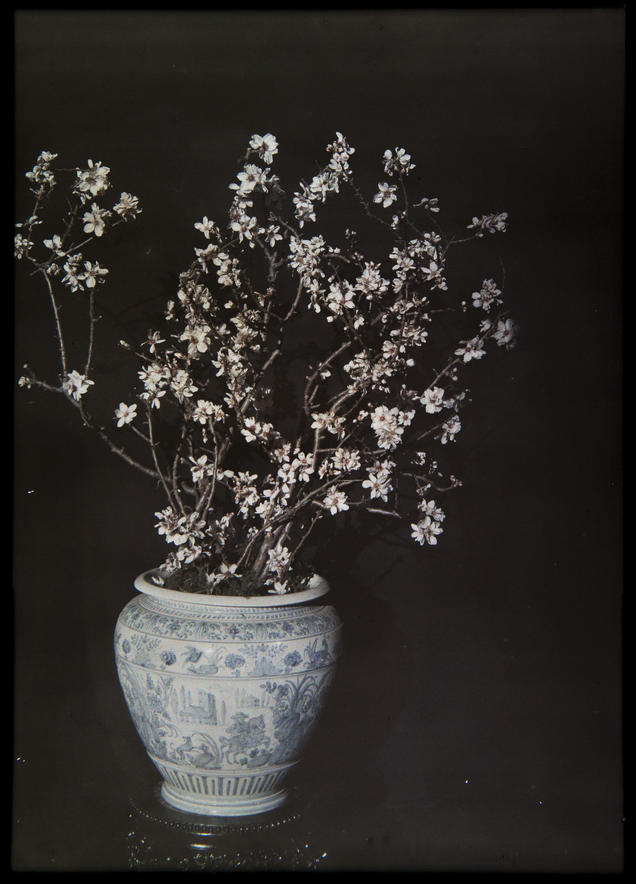 image for: Francesc Carrera Bou - Gerro amb flors - Cap a 1922-1926