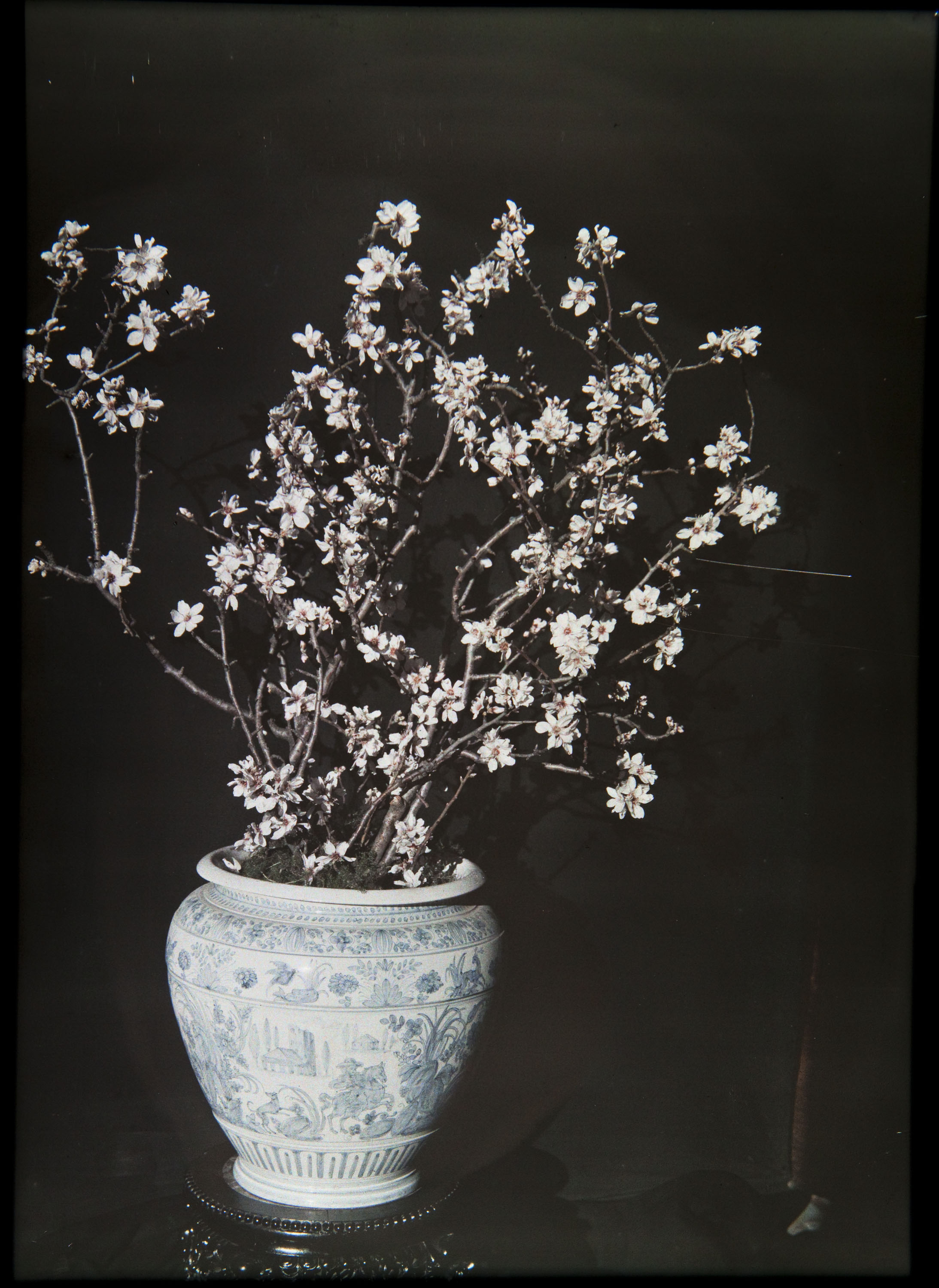 image for: Francesc Carrera Bou - Gerro amb flors - Cap a 1922-1926