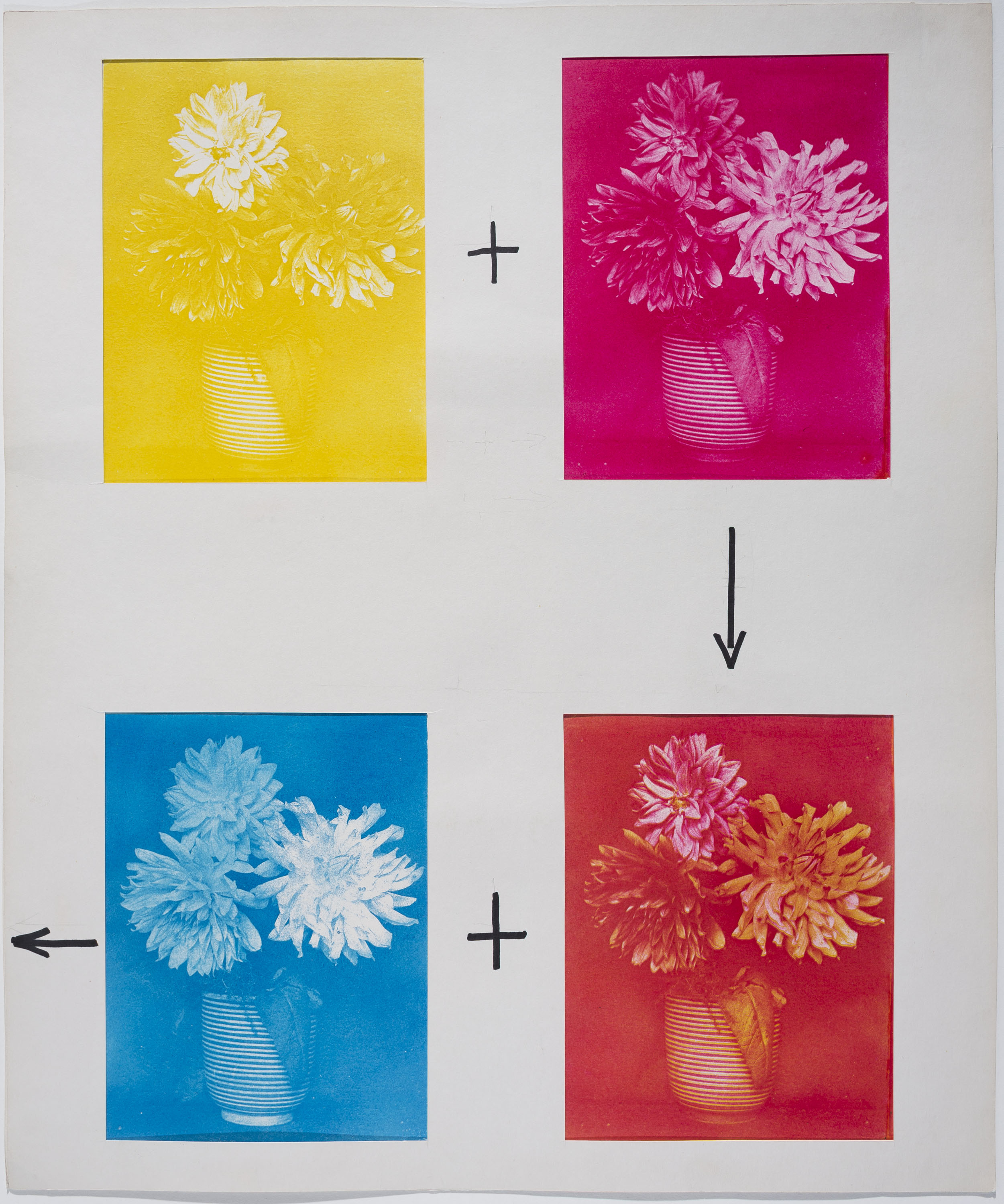 image for: Josep Maria Casals i Ariet - Proves per a &quot; Gerro amb flors&quot; - No datat