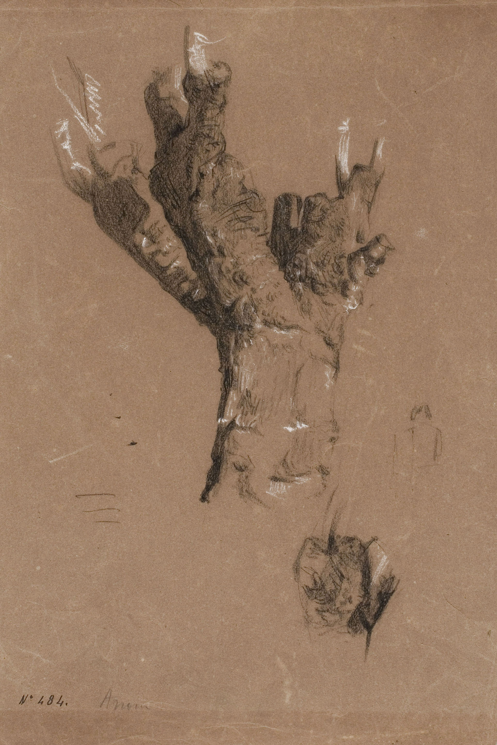 image for: Ramon Martí i Alsina - Estudi del tronc d&#039;un arbre - Cap a 1870-1875