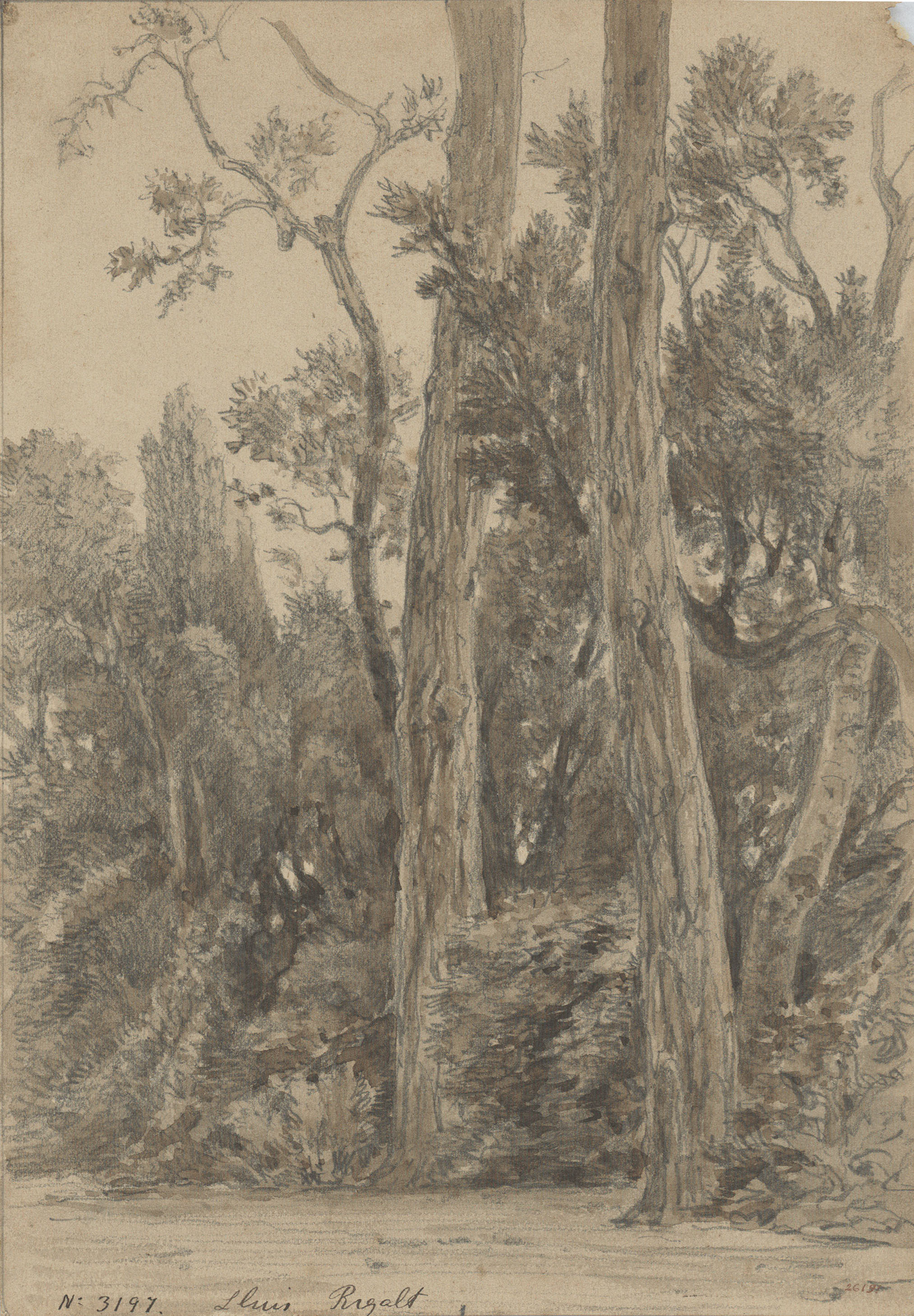 image for: Lluís Rigalt - Arbreda - Cap a 1860-1870