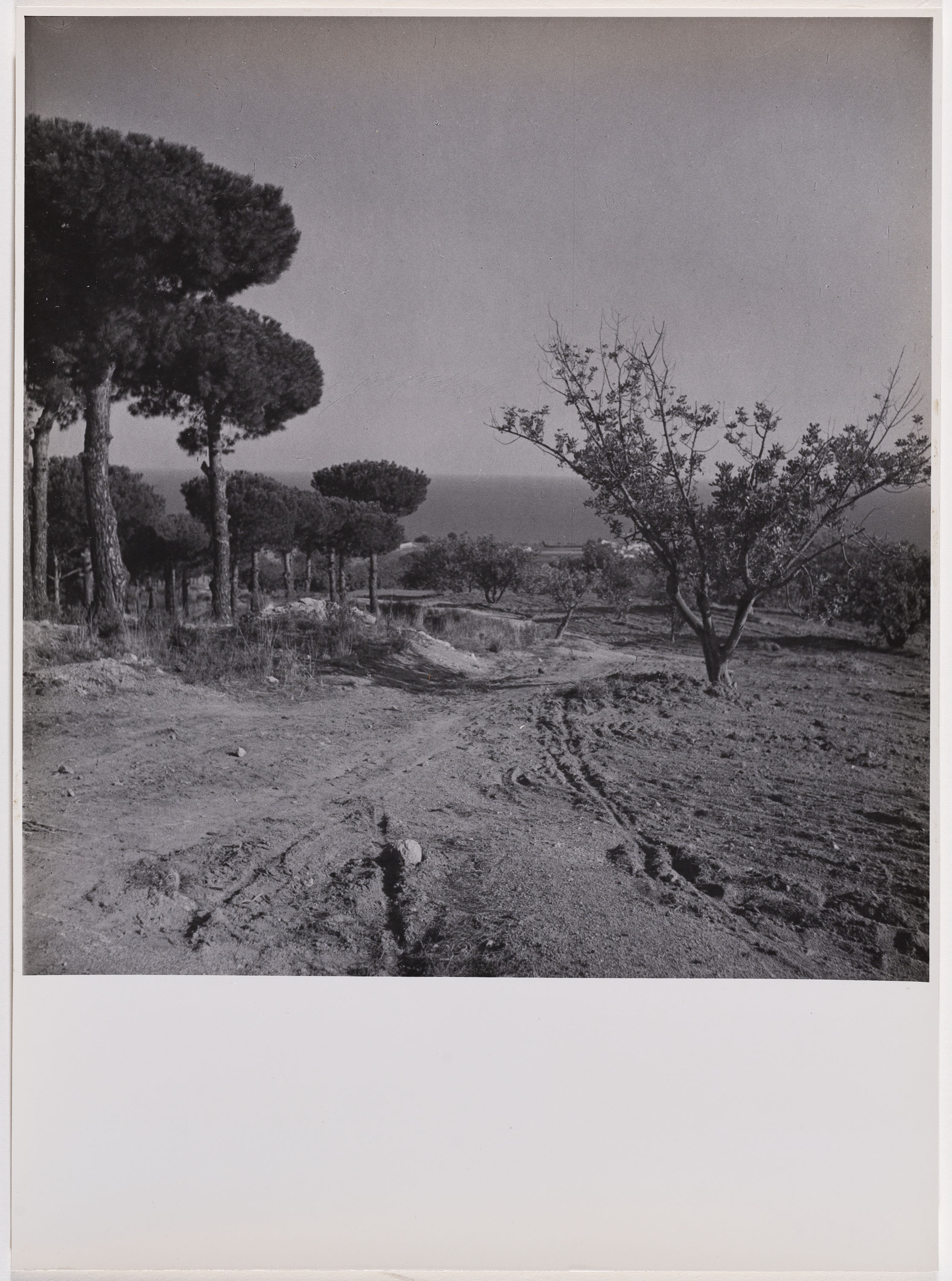 image for: Otho Lloyd - Paisatge - Cap a 1944-1950