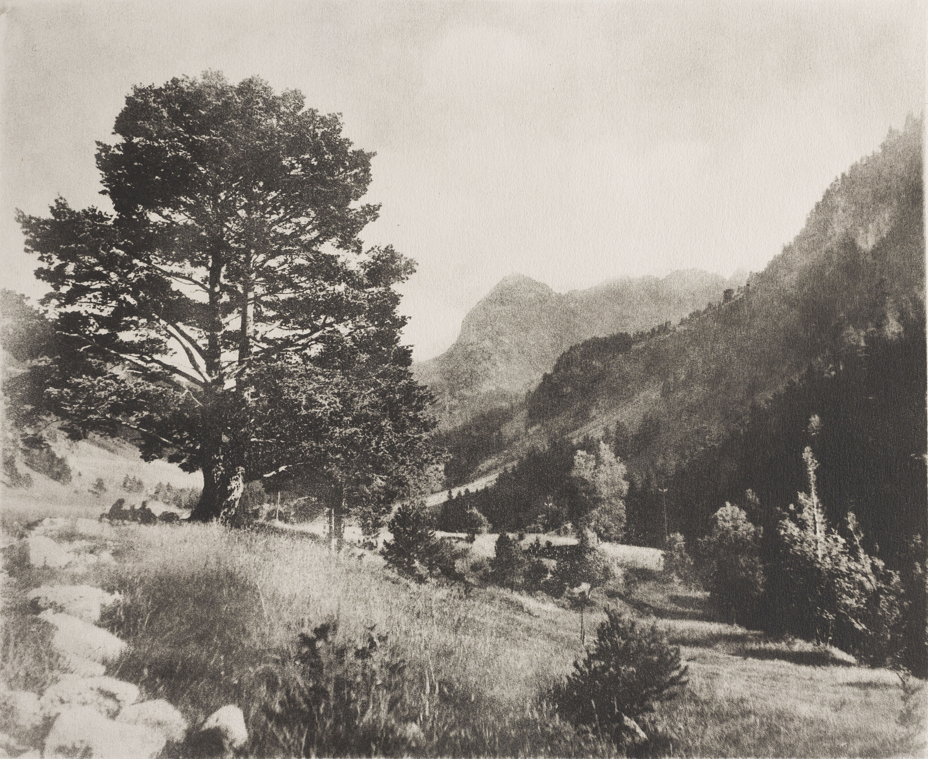 image for: Josep Maria Casals i Ariet - Paisatge - No datat
