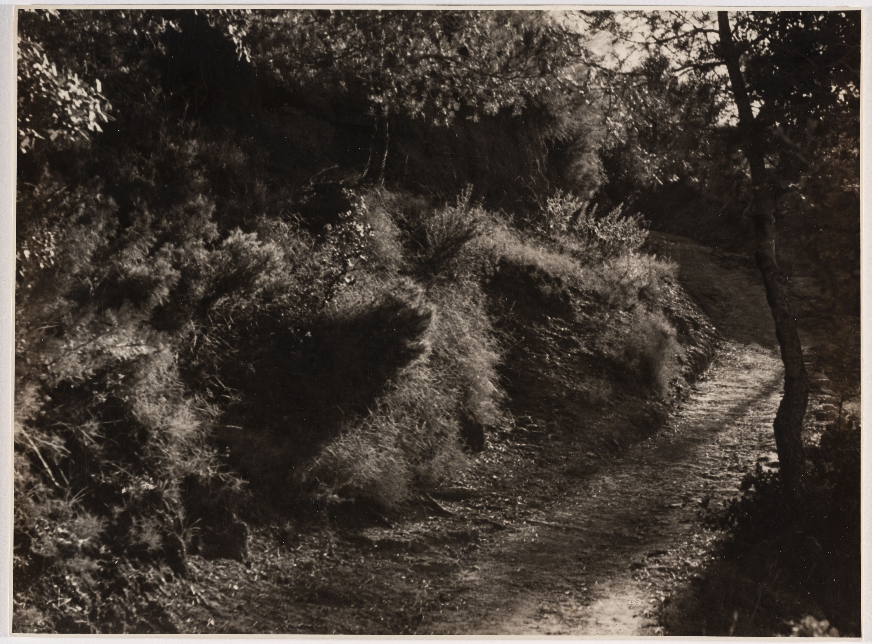 image for: Otho Lloyd - Paisatge - Cap a 1944-1950