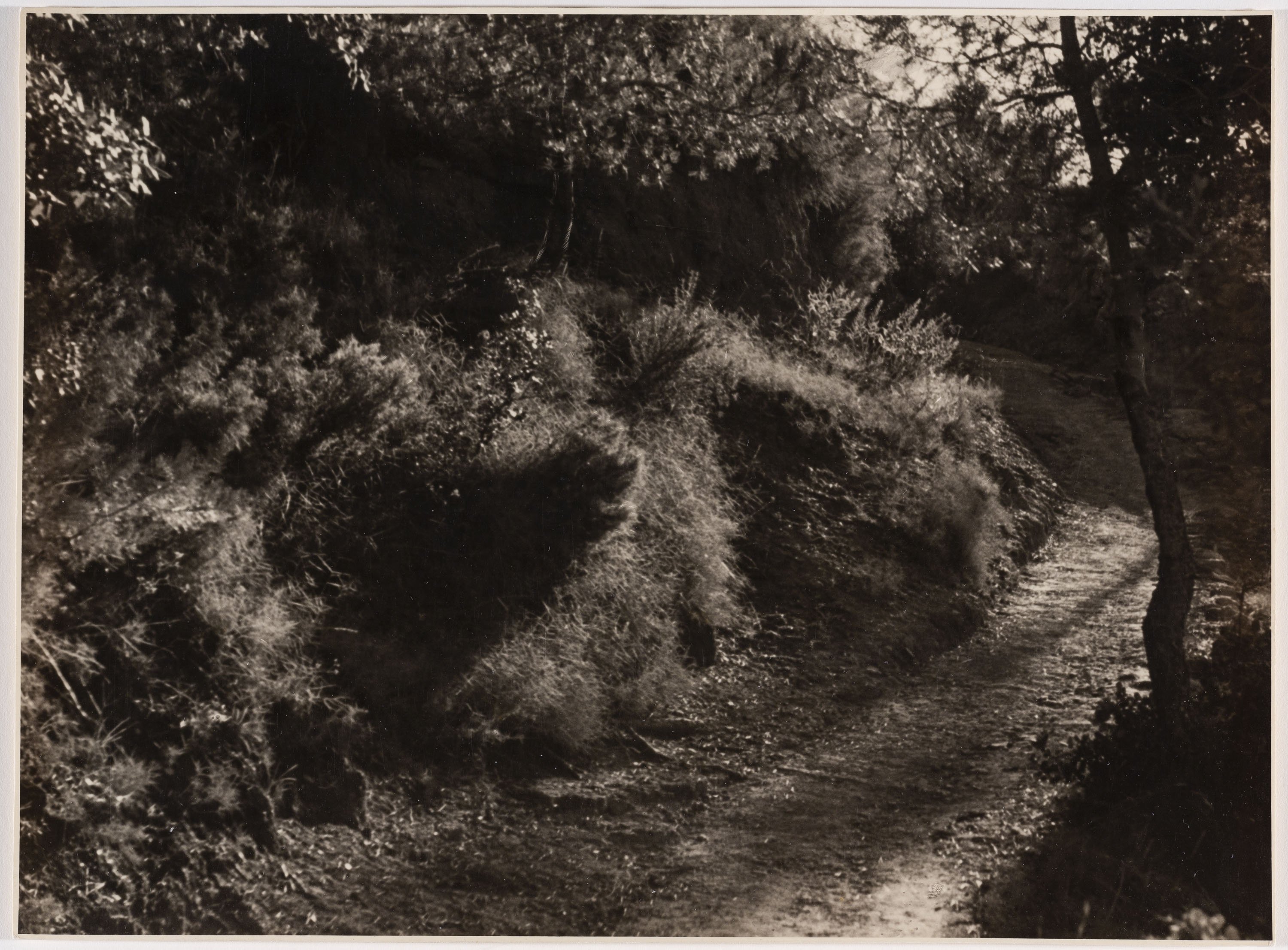 image for: Otho Lloyd - Paisatge - Cap a 1944-1950