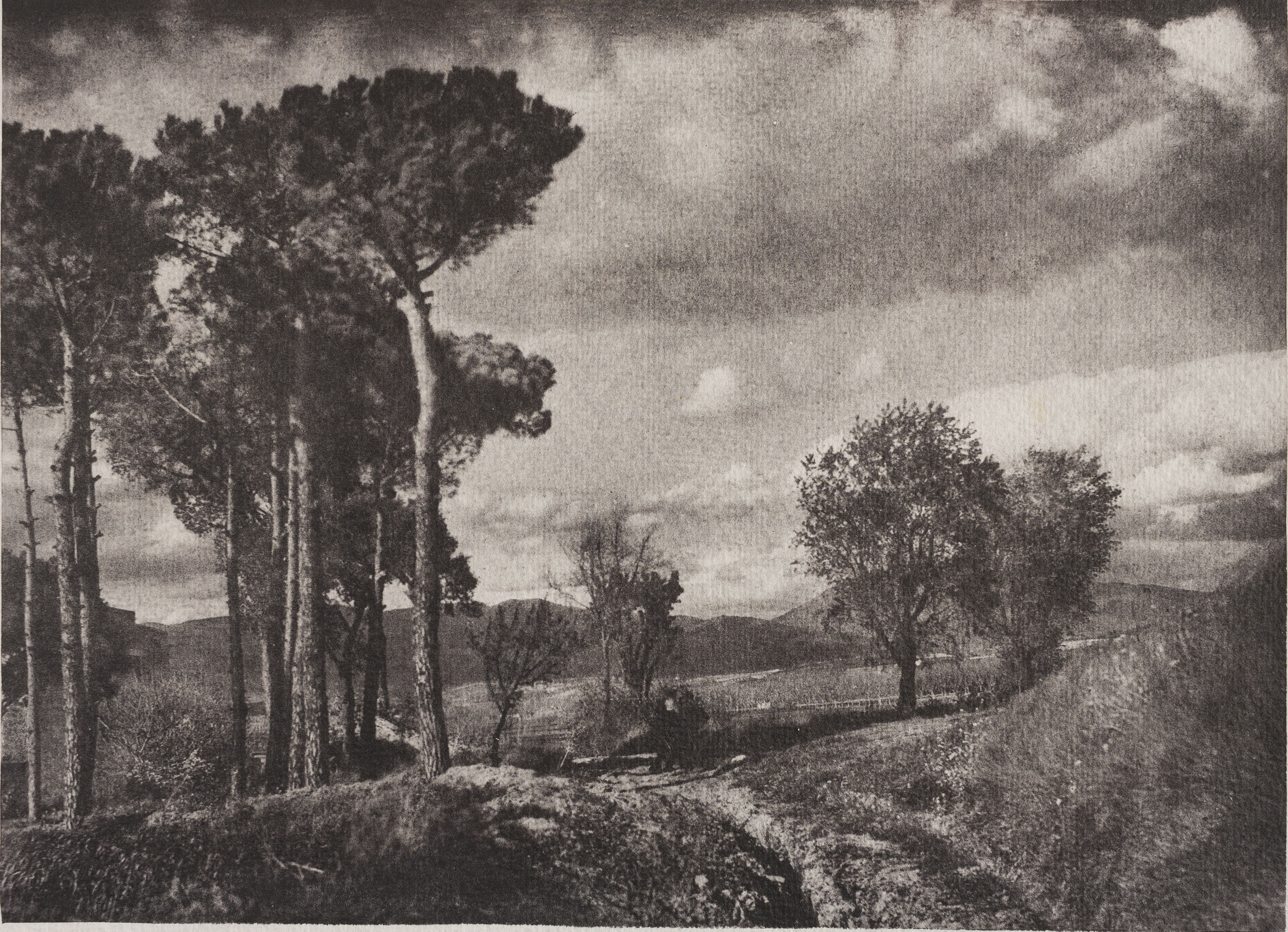 image for: Josep Maria Casals i Ariet - Paisatge - No datat