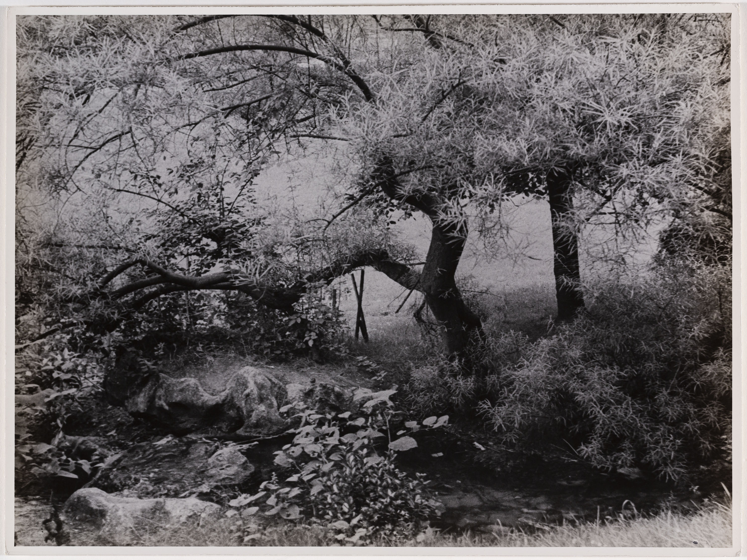 image for: Otho Lloyd - Paisatge - Cap a 1944-1950