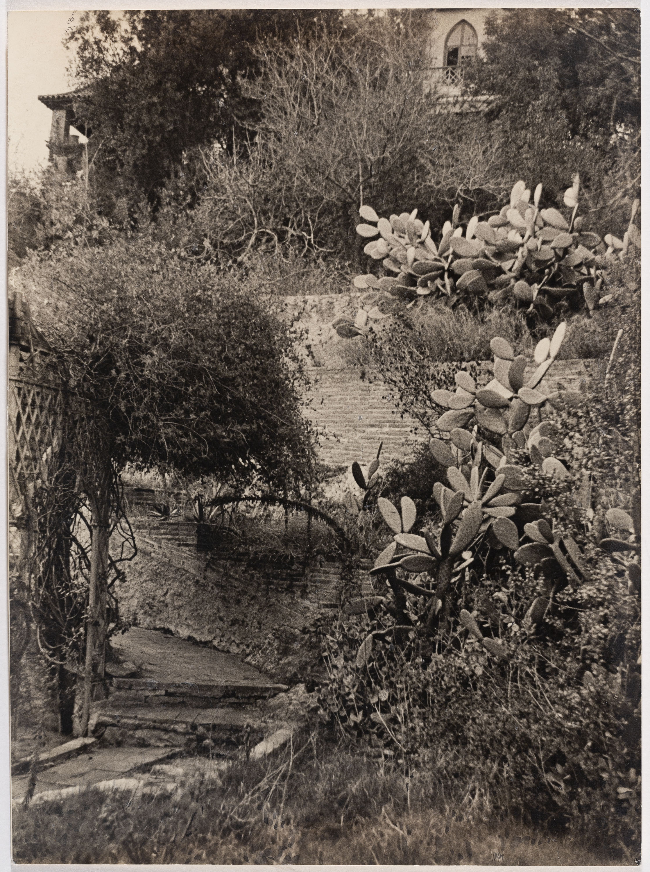 image for: Otho Lloyd - Paisatge - Cap a 1944-1950