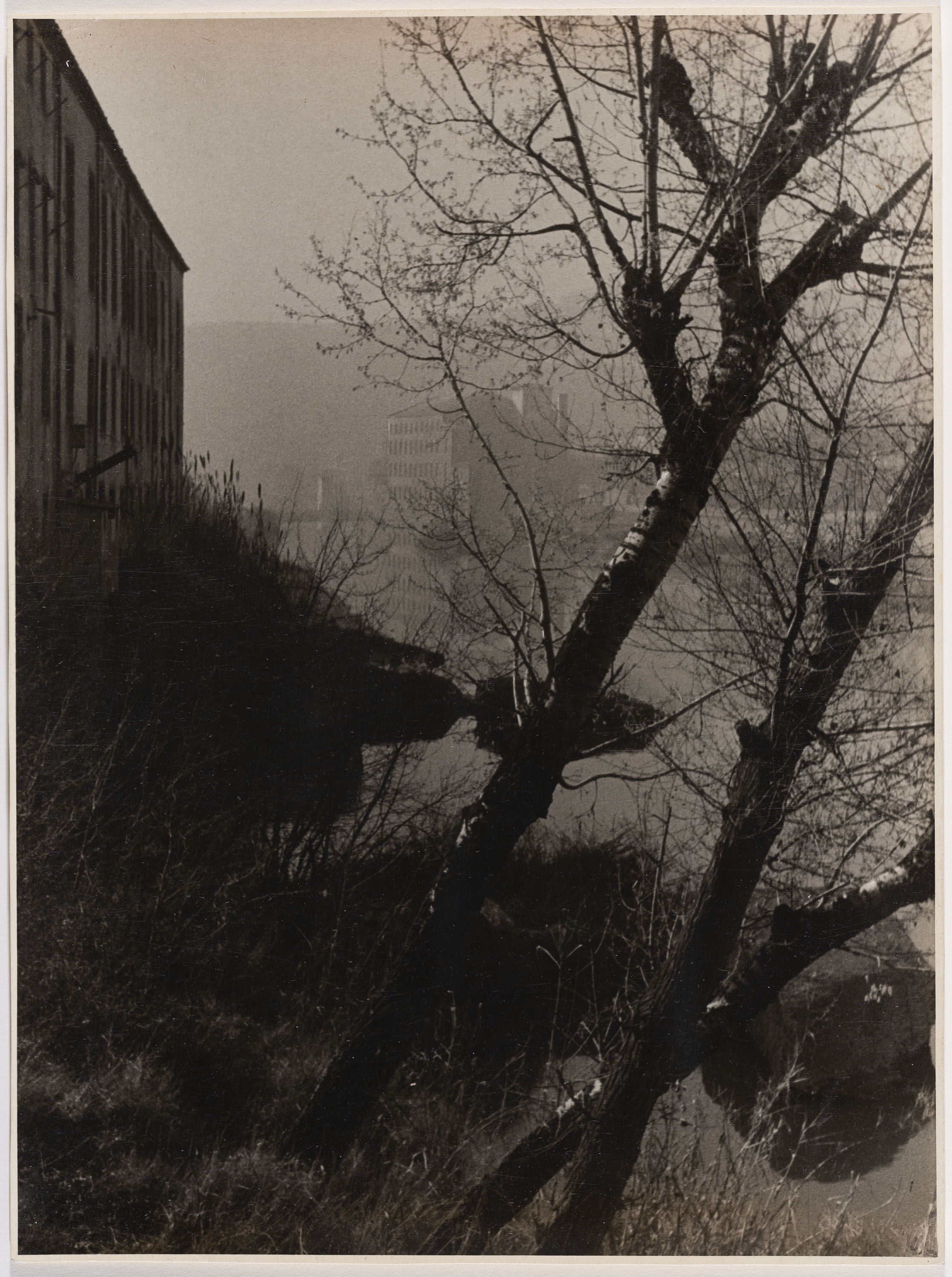 image for: Otho Lloyd - Paisatge - Cap a 1944-1950
