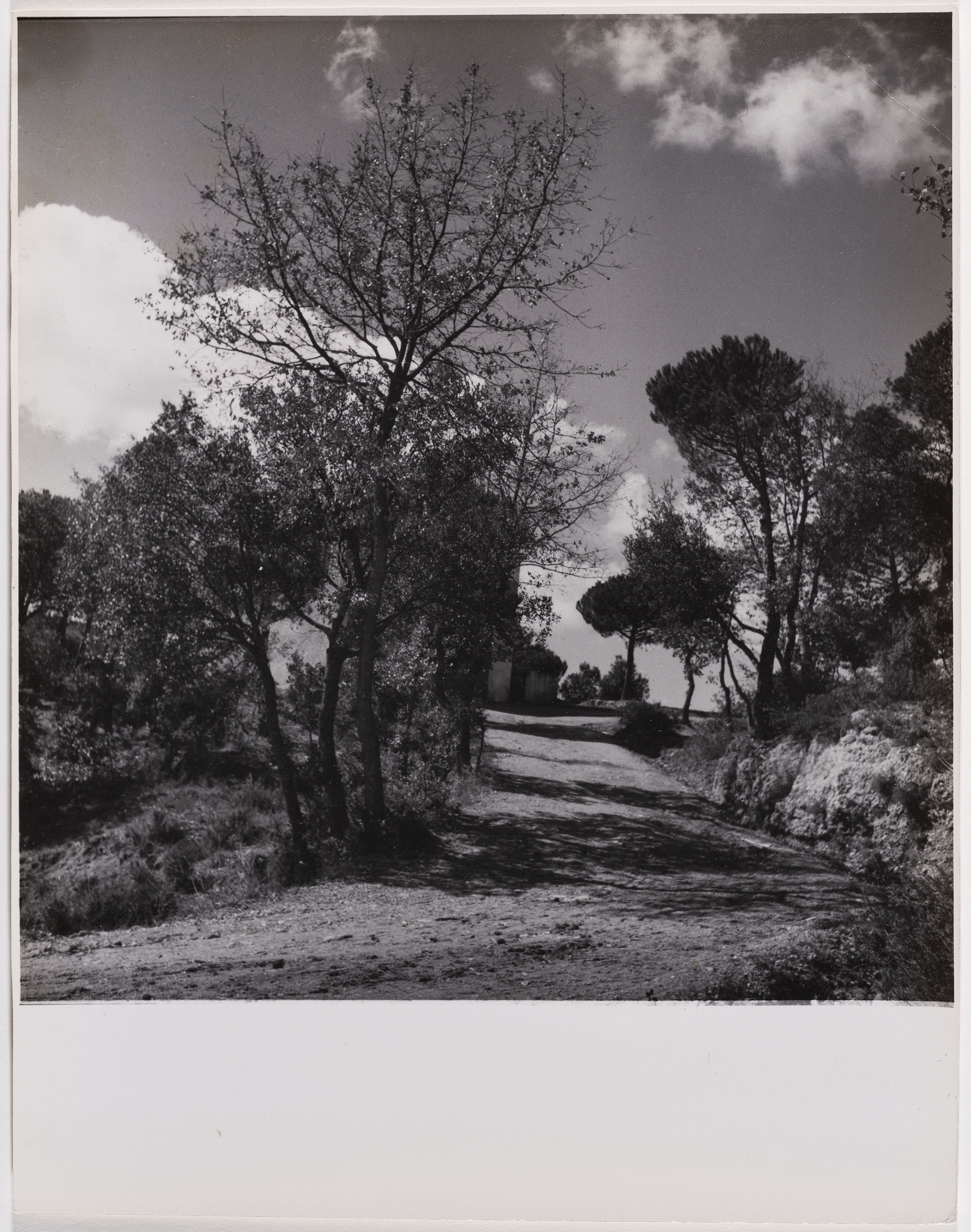 image for: Otho Lloyd - Paisatge - Cap a 1944-1950