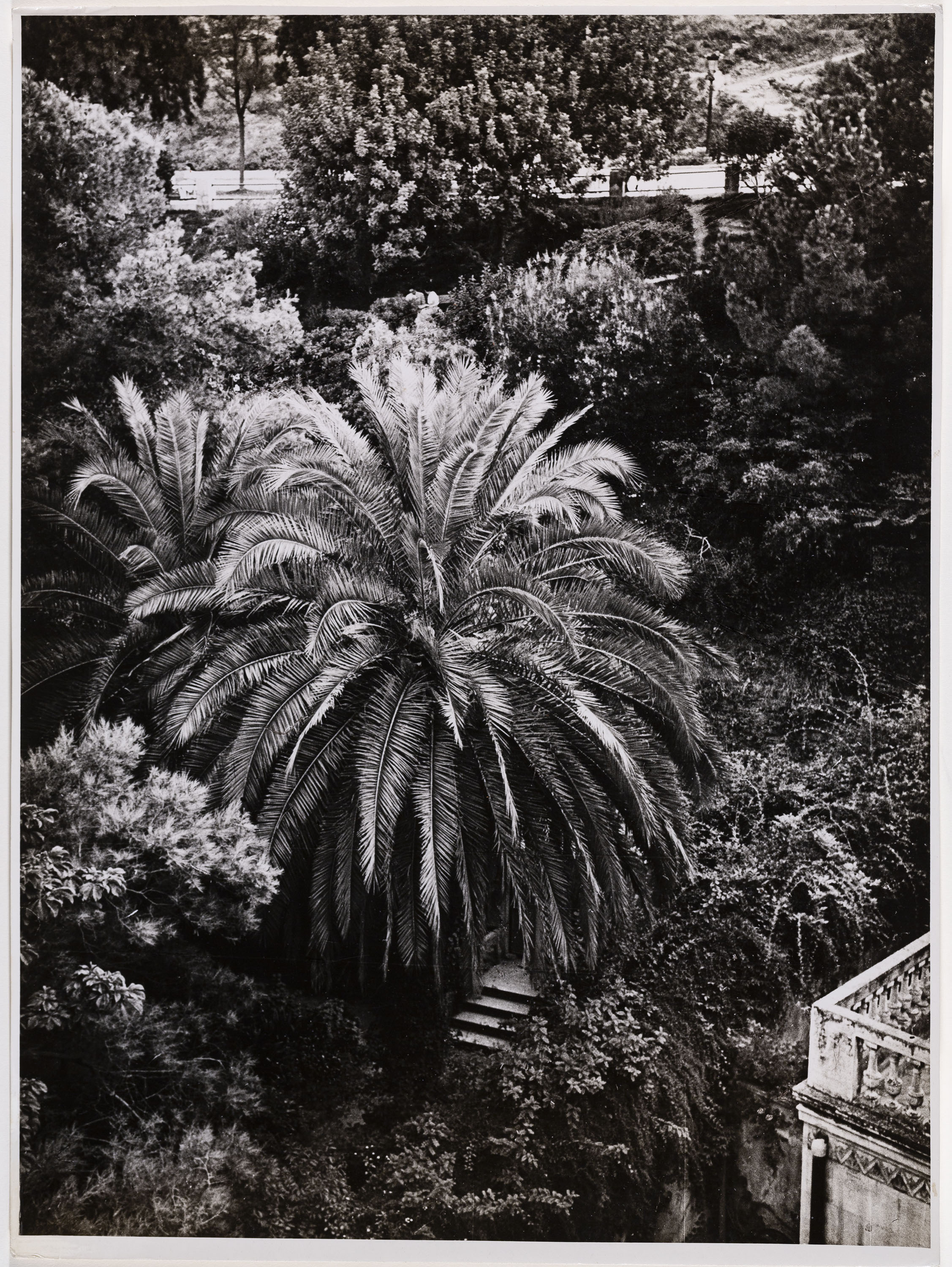 image for: Otho Lloyd - Paisatge - Cap a 1944-1950