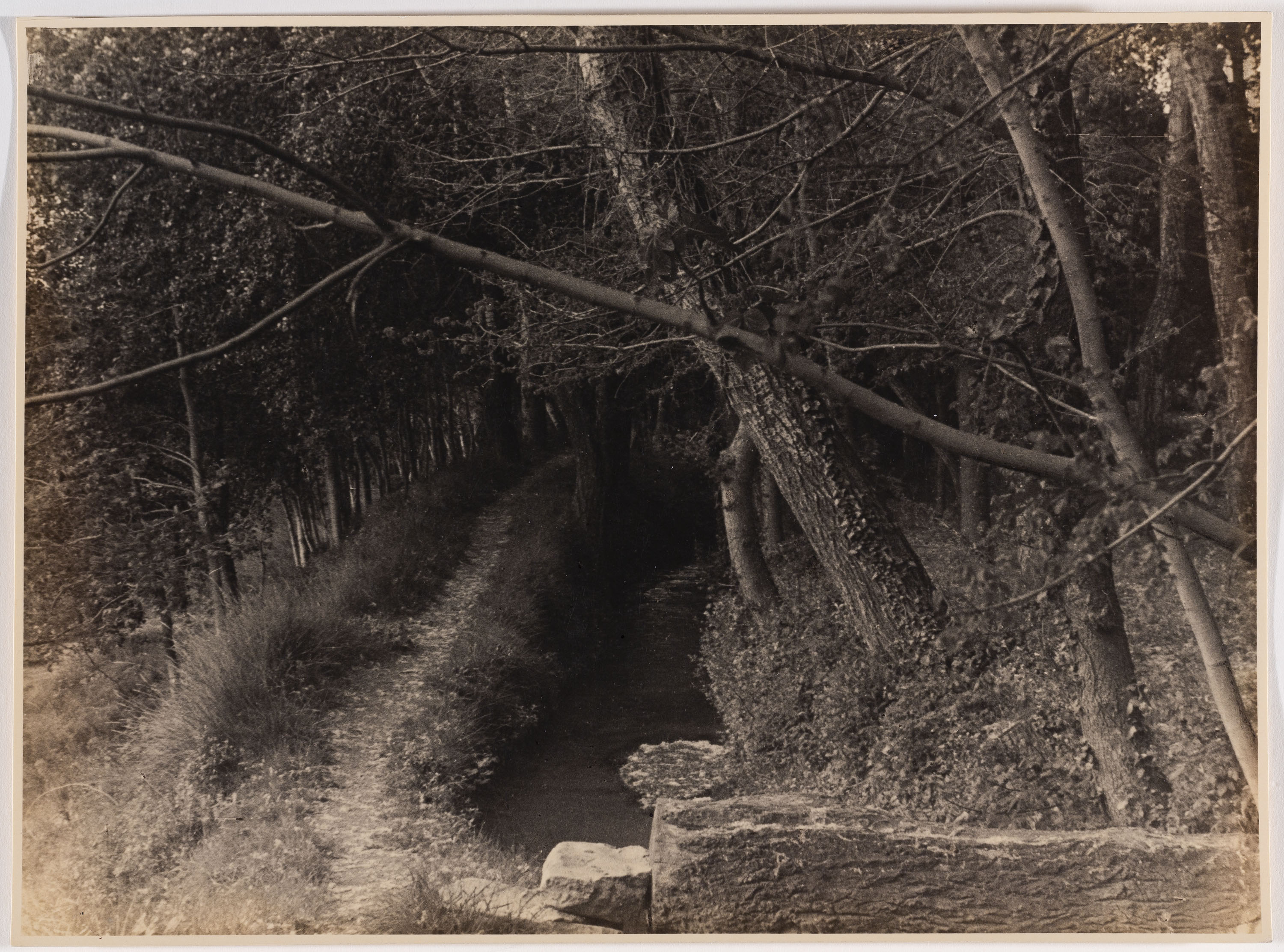 image for: Otho Lloyd - Paisatge - Cap a 1944-1950