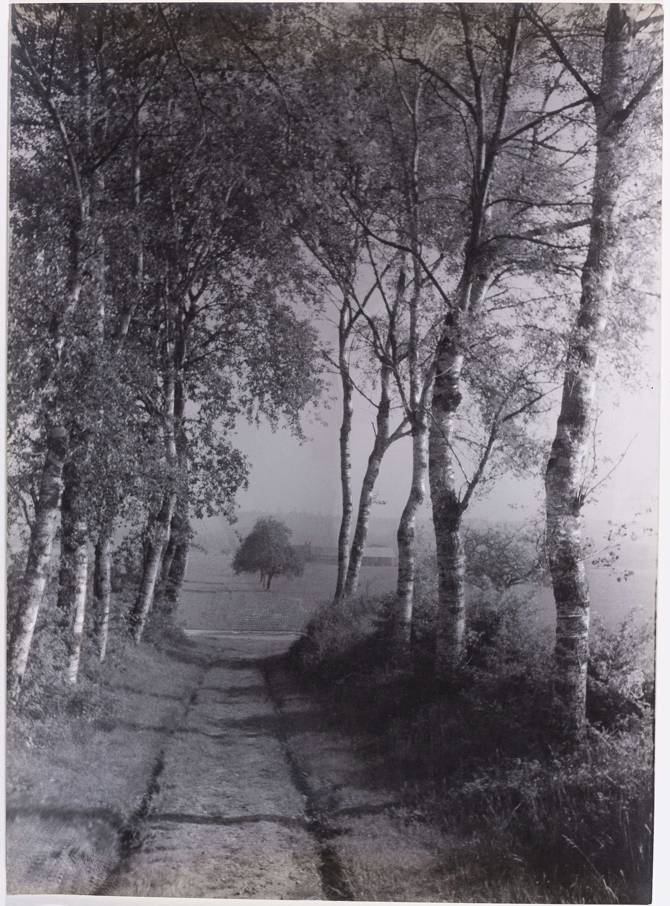 image for: Otho Lloyd - Paisatge - Cap a 1944-1950