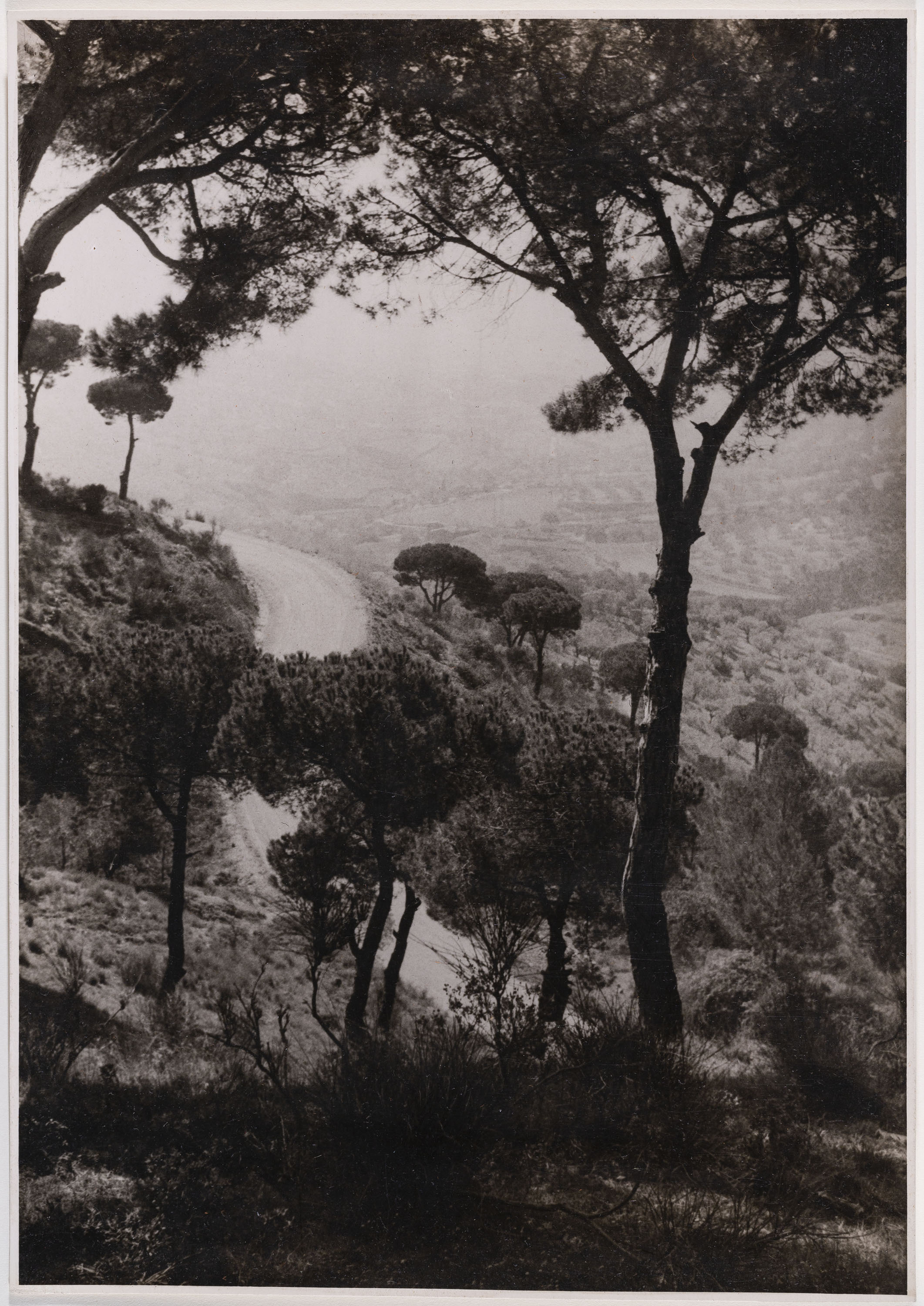 image for: Otho Lloyd - Paisatge - Cap a 1944-1950
